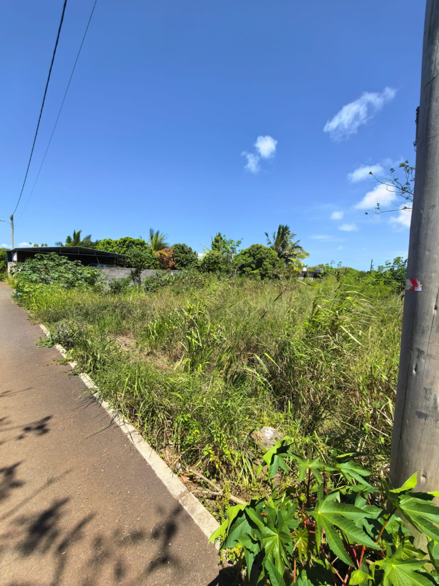 Property – LexpressProperty.com | 759842 | Ref01
