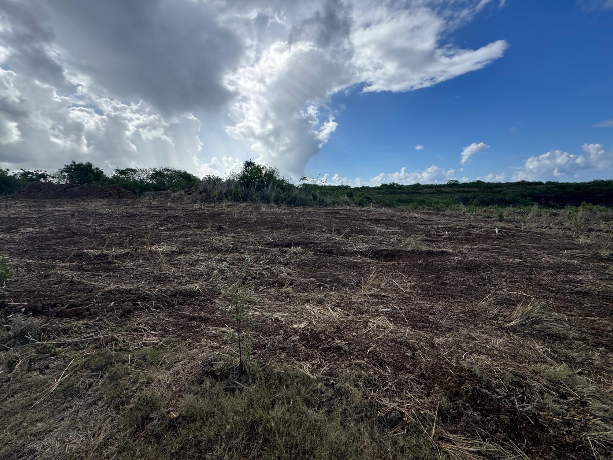 Property – LexpressProperty.com | 759956 | Ref01