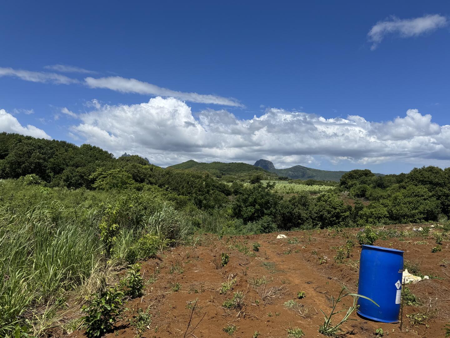 Agricultural land of 5276 m2 for sale in Congomah, north, Mauritius – LexpressProperty.com | 689616 | Ref01