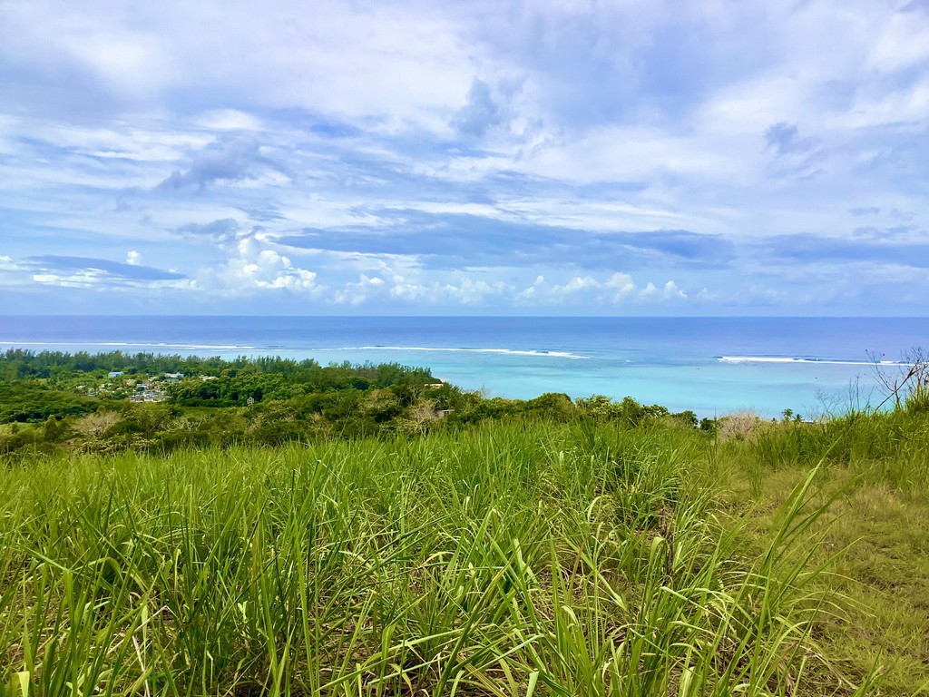 Terrain agricole de 35981 m2 en vente à Bel Ombre, sud, île Maurice – LexpressProperty.com | 690711 | Ref01