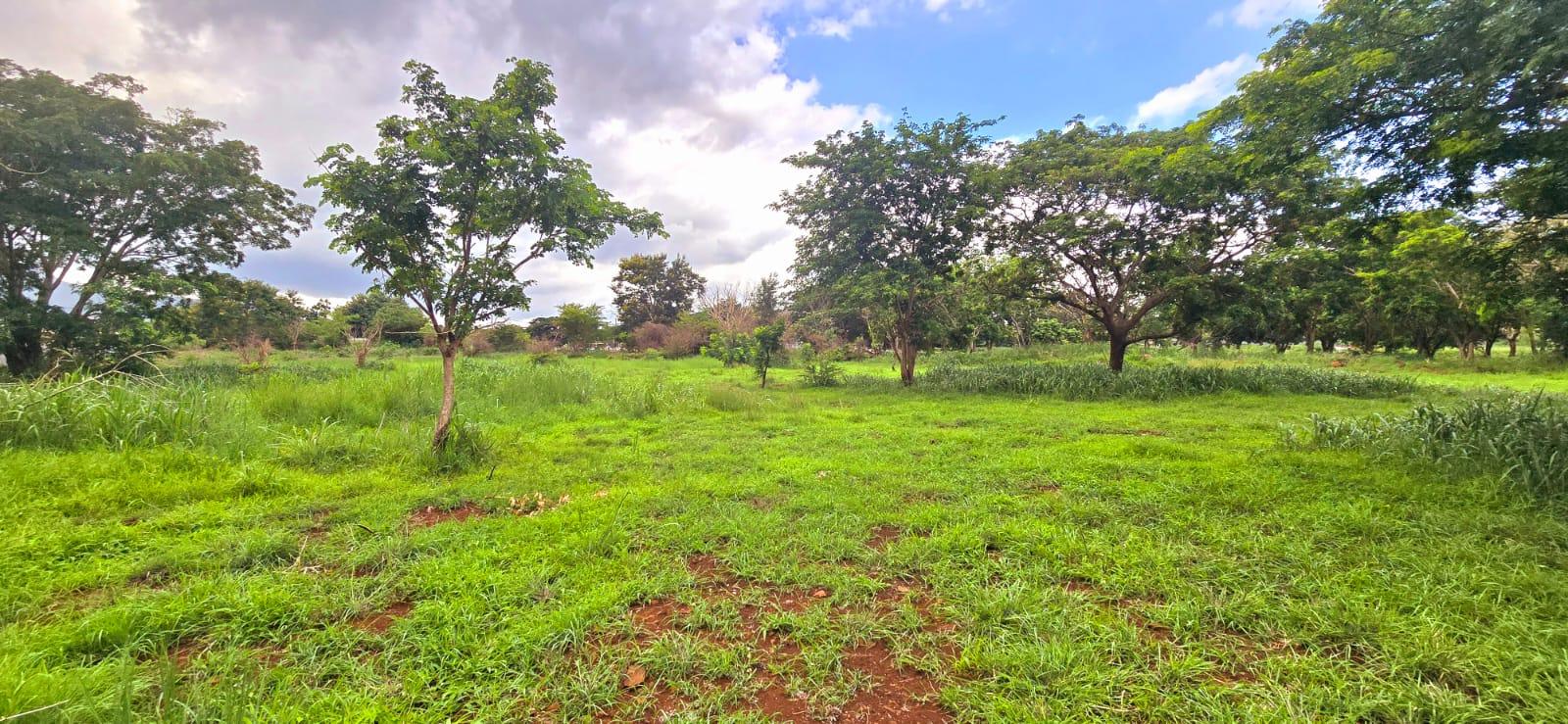Property – LexpressProperty.com | 693936 | Ref01