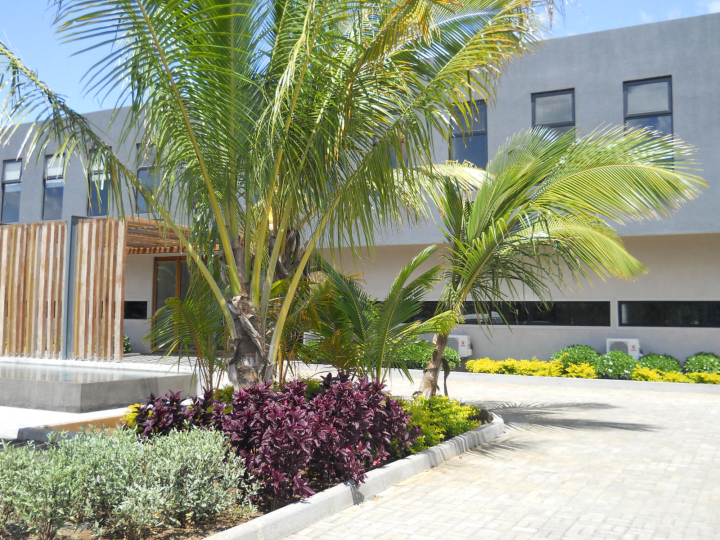 Bureau vente à Calebasses, nord, île Maurice – LexpressProperty.com | 695571 | Ref01