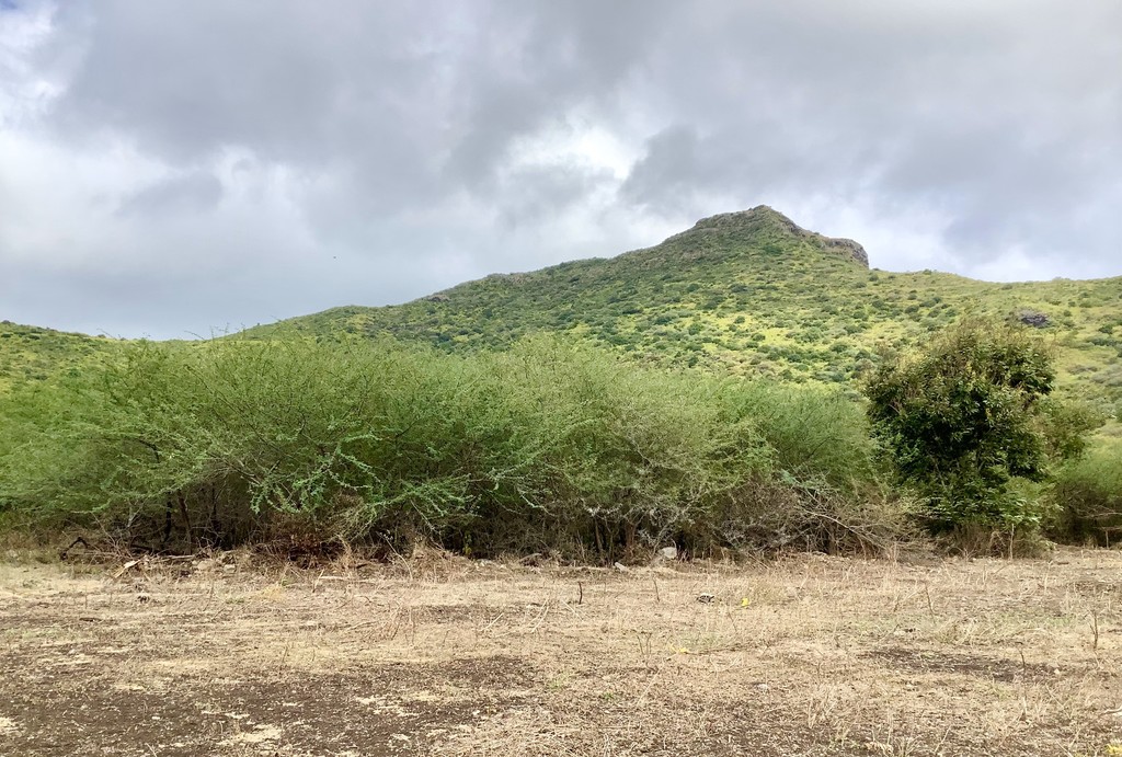 Residential land of 2050 m2 for sale in Tamarin, west, Mauritius – LexpressProperty.com | 691401 | Ref01