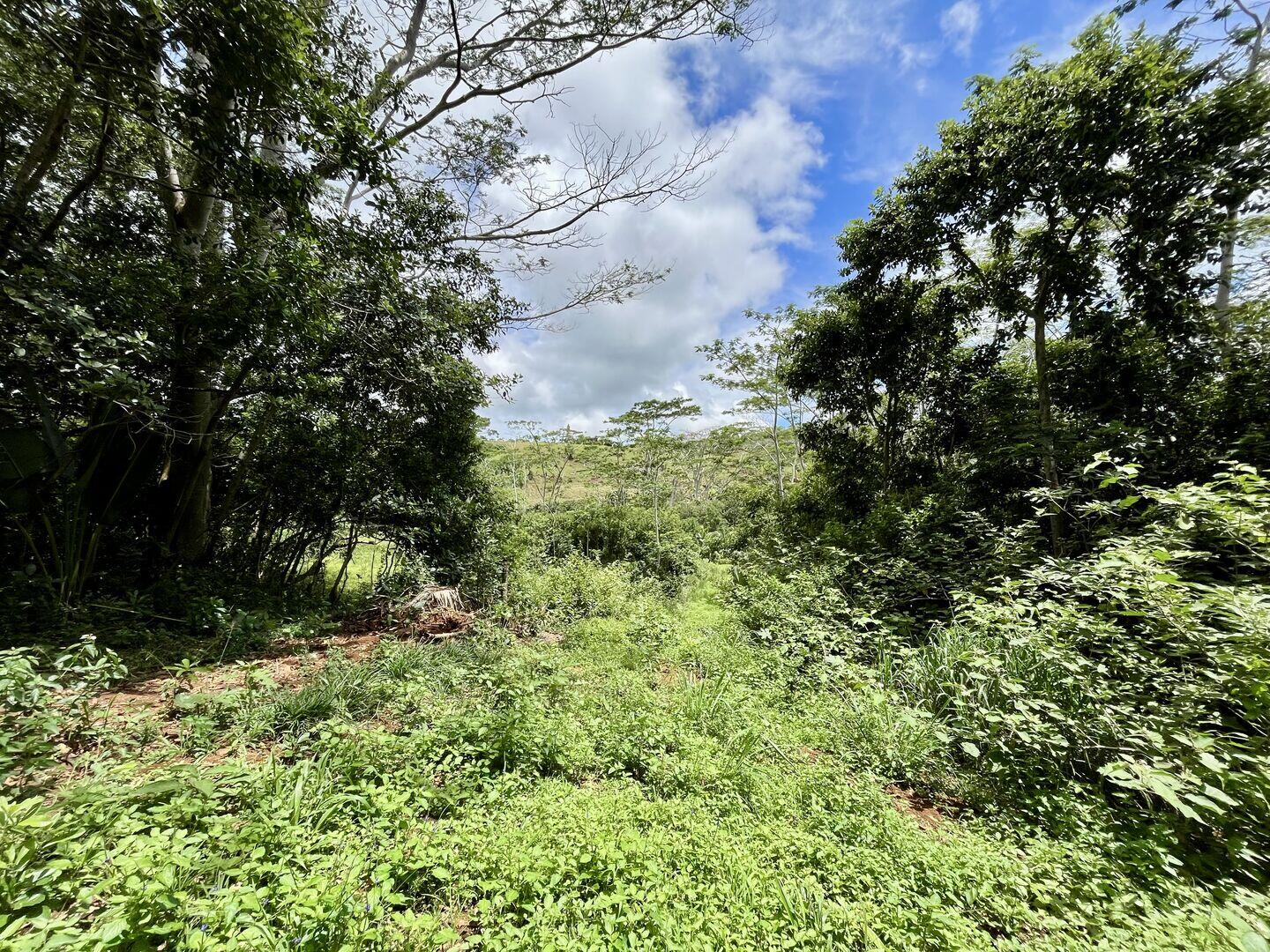 Agricultural land of 4220 m2 for sale in Chamarel, west, Mauritius – LexpressProperty.com | 691960 | Ref01
