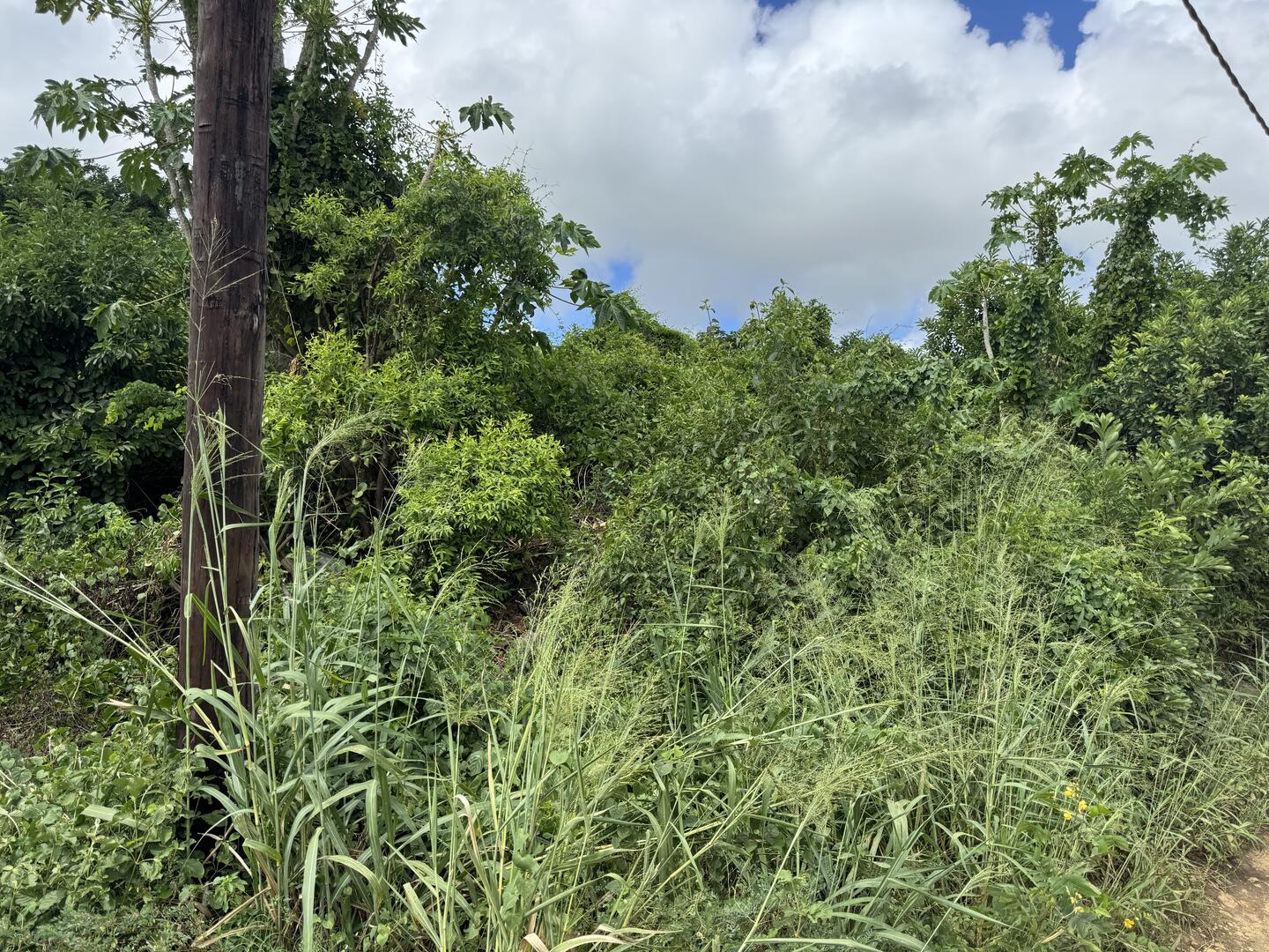 Property – LexpressProperty.com | 698308 | Ref01