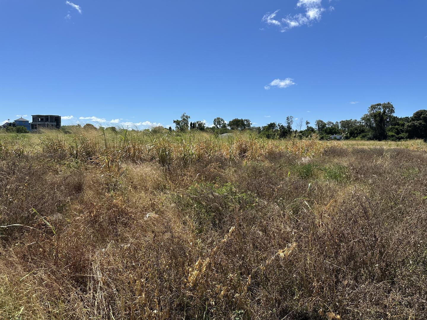 Property – LexpressProperty.com | 694390 | Ref01