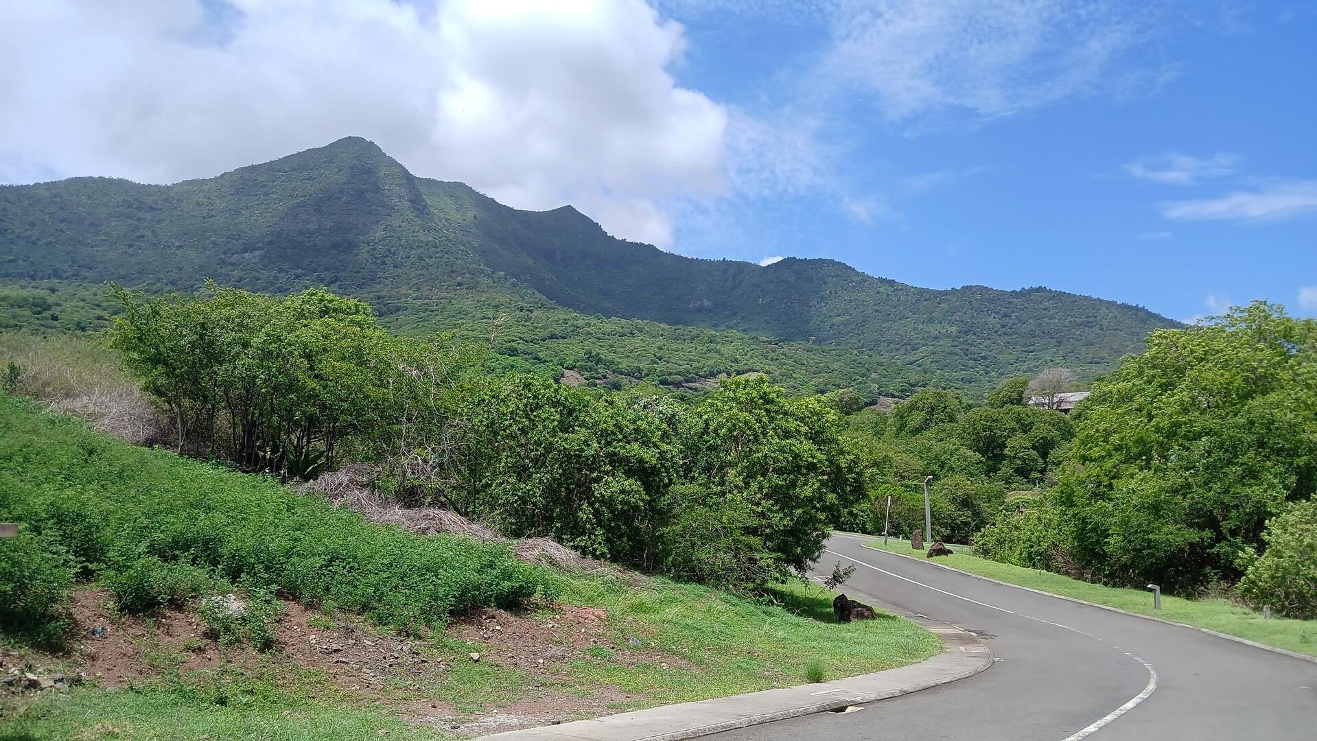 Terrain résidentiel de 2167 m2 en vente à Petite Rivière Noire, ouest, île Maurice – LexpressProperty.com | 696436 | Ref01