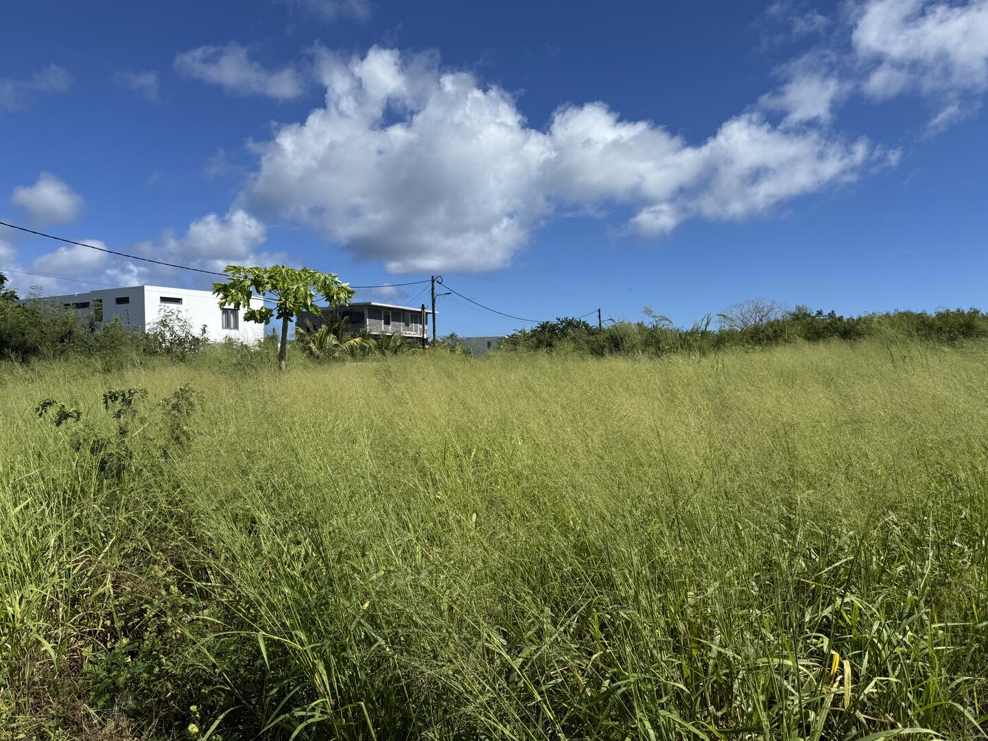 Property – LexpressProperty.com | 700305 | Ref01