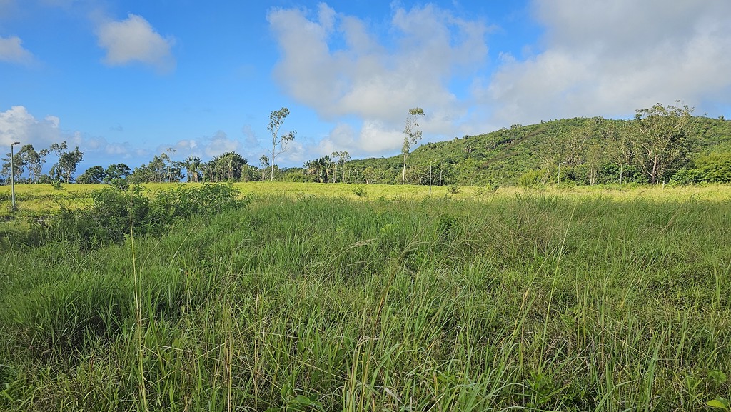 Residential land of 4600 m2 for sale in Bois Chéri, south, Mauritius – LexpressProperty.com | 700273 | Ref01