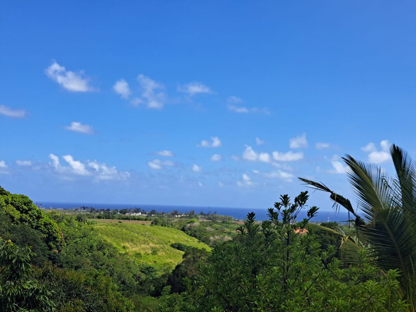 Property – LexpressProperty.com | 700979 | Ref01