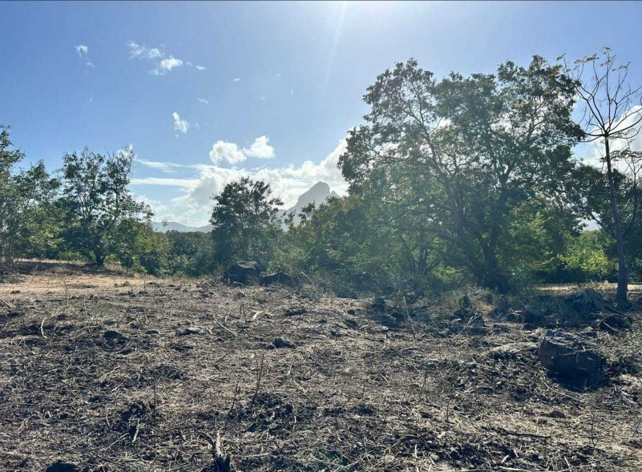 Terrain résidentiel de 2100 m2 en vente à Tamarin, ouest, île Maurice – LexpressProperty.com | 701291 | Ref01