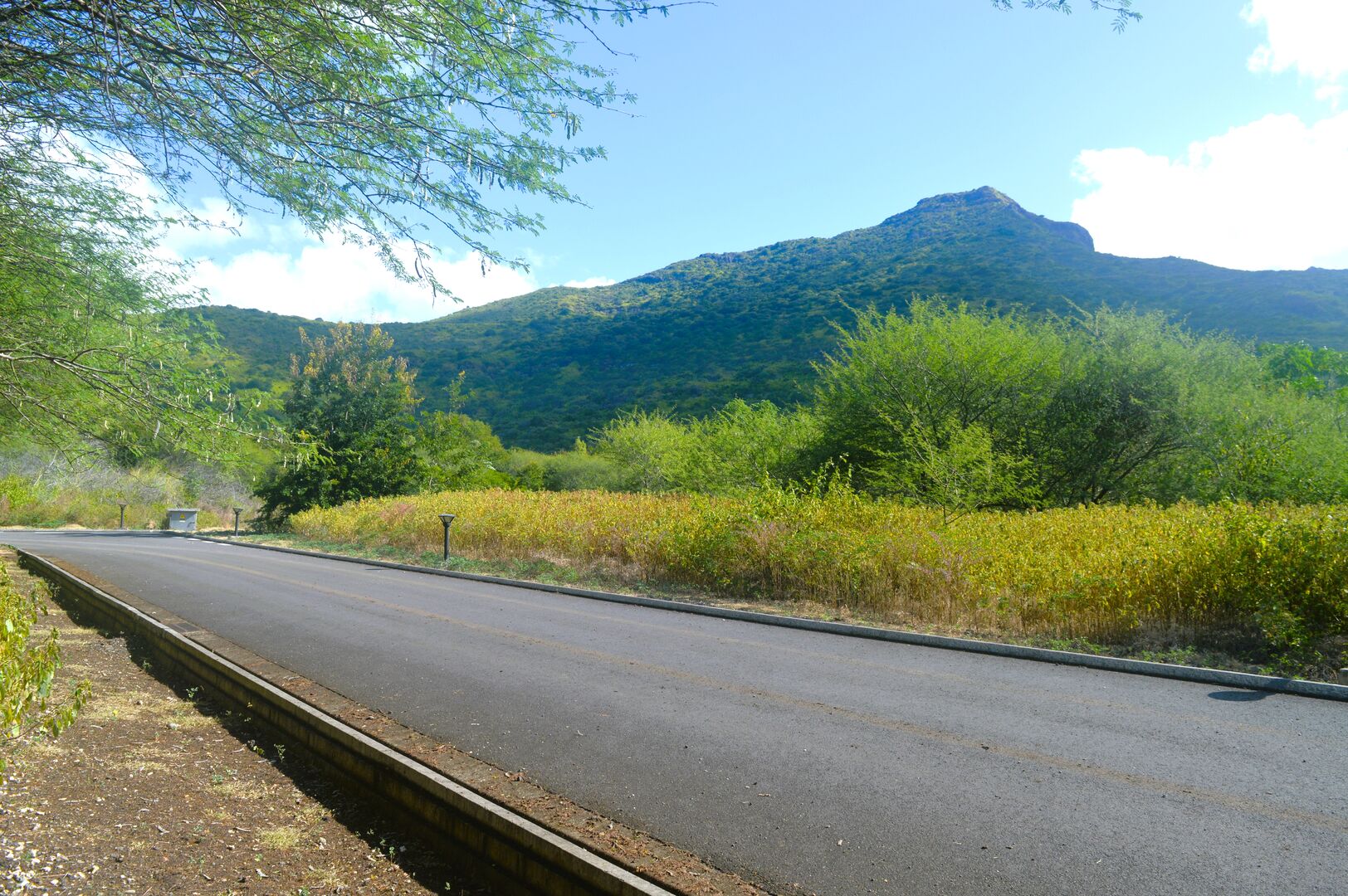 Residential land of 2050 m2 for sale in Tamarin, west, Mauritius – LexpressProperty.com | 696612 | Ref01