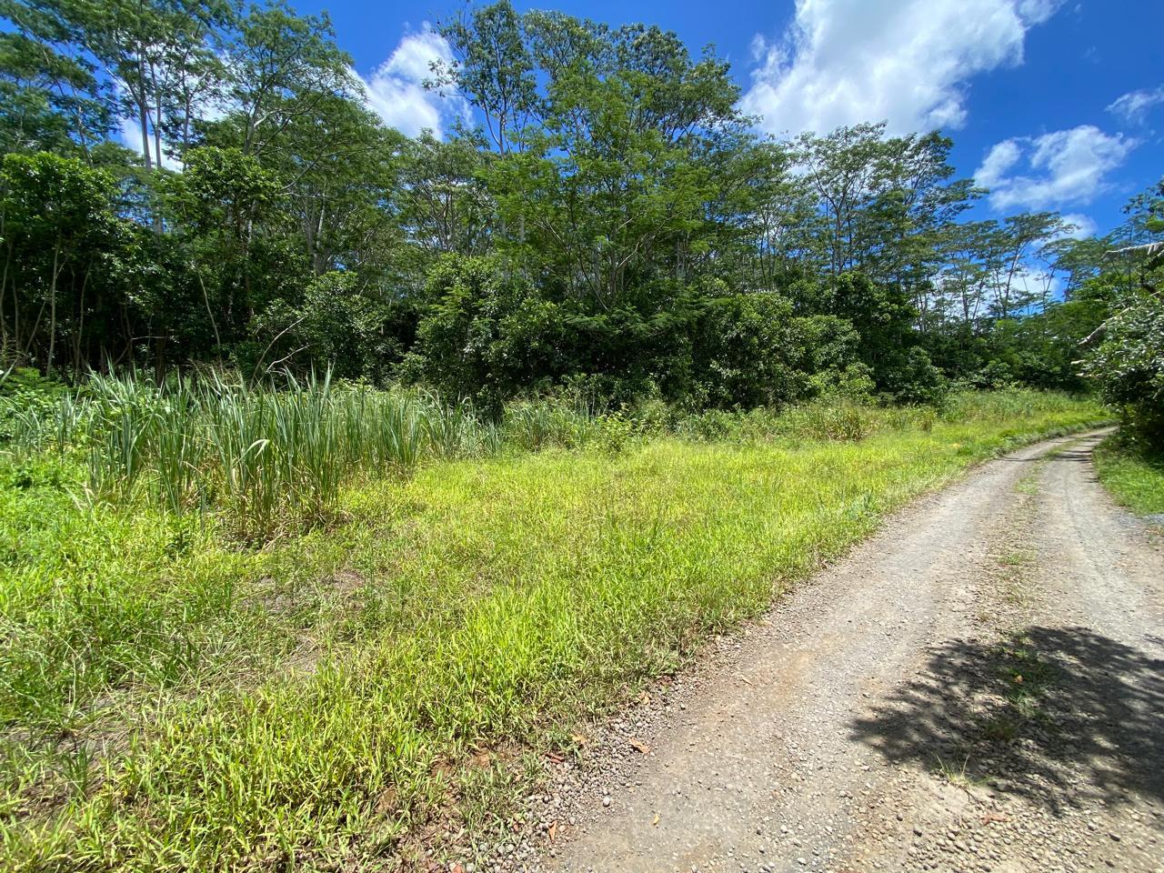 Agricultural land of 4221 m2 for sale in Chamarel, west, Mauritius – LexpressProperty.com | 687774 | Ref01