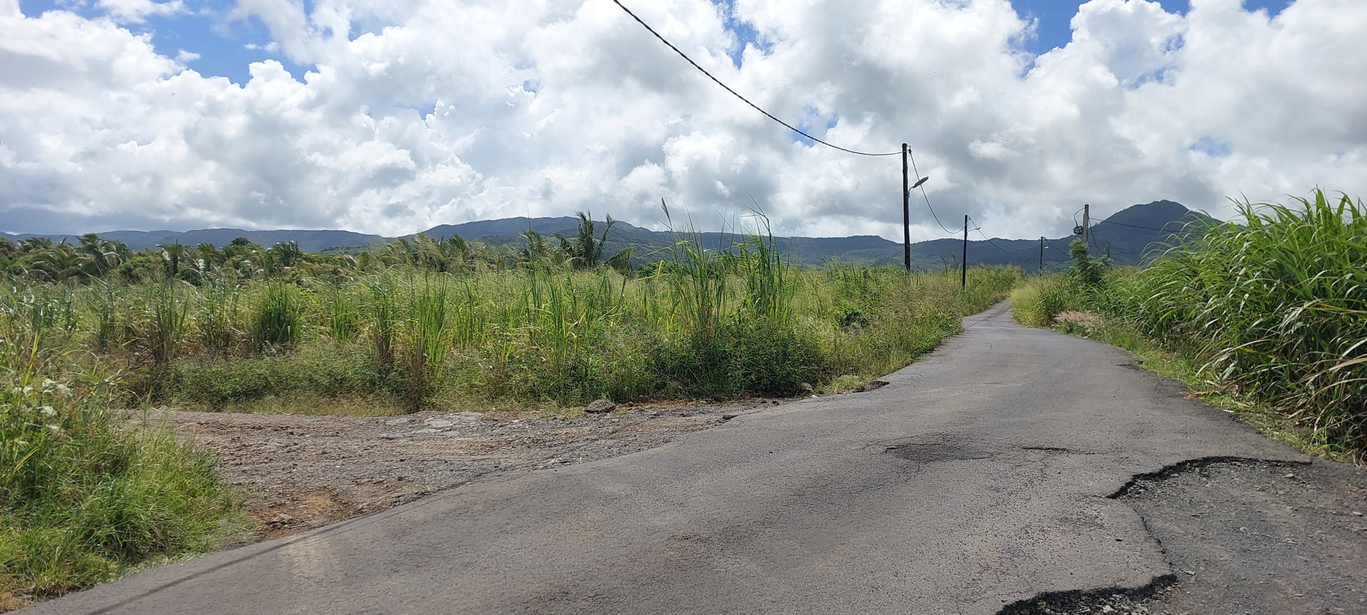 Property – LexpressProperty.com | 697797 | Ref01
