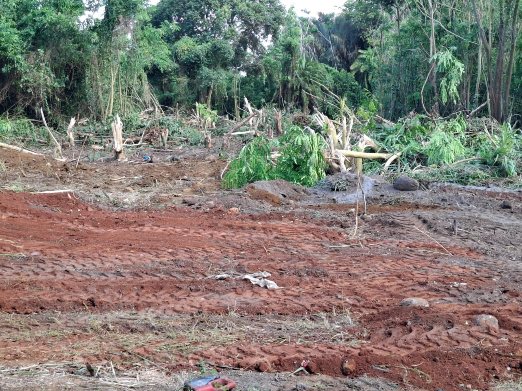 Residential land of 422.087 m² for sale in Ripailles, center, Mauritius – LexpressProperty.com | 707509 | Ref01