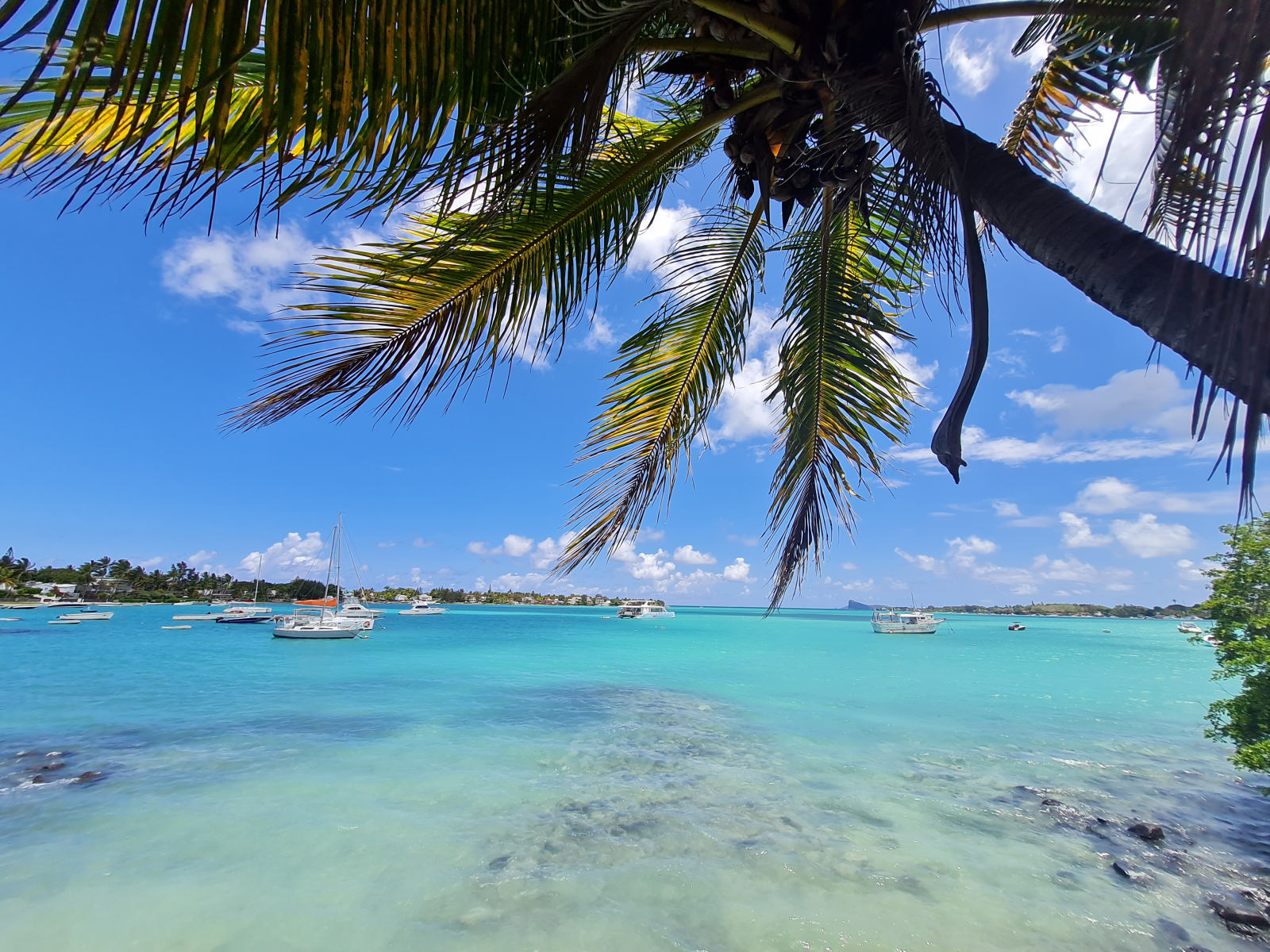 Apartment of 3 bedrooms for sale in Grand Bay, north, Mauritius – LexpressProperty.com | 336731 | Ref01