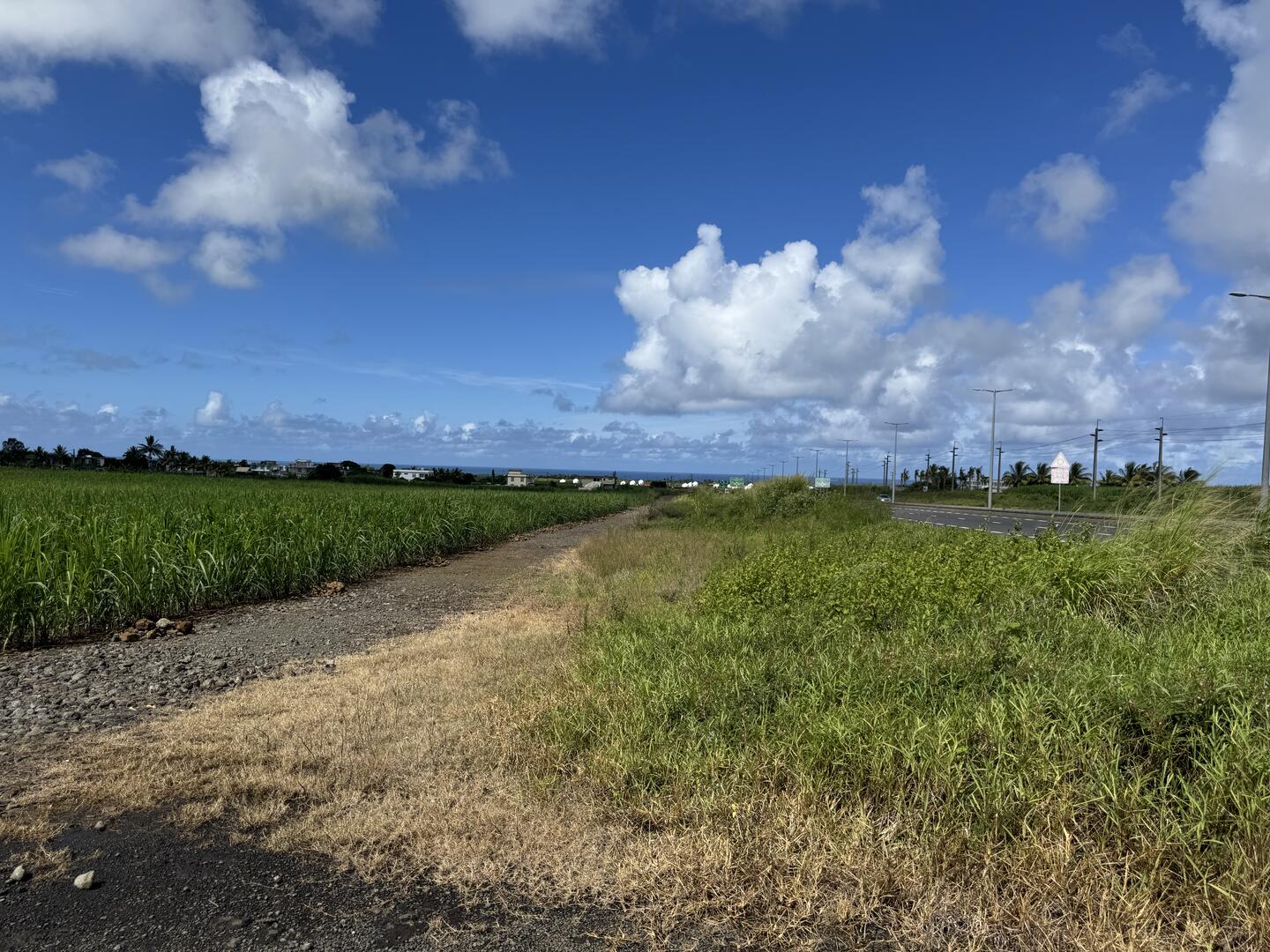 Terrain agricole de 181503 m2 en vente à Plaine Magnien, sud, île Maurice – LexpressProperty.com | 708440 | Ref01