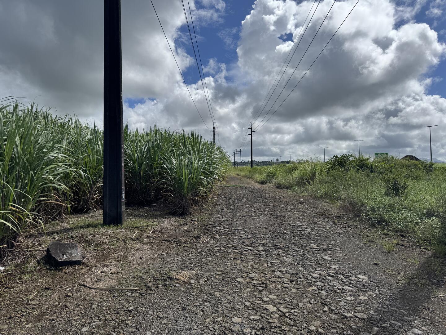 Terrain agricole de 92862 m2 en vente à Plaine Magnien, sud, île Maurice – LexpressProperty.com | 708443 | Ref01