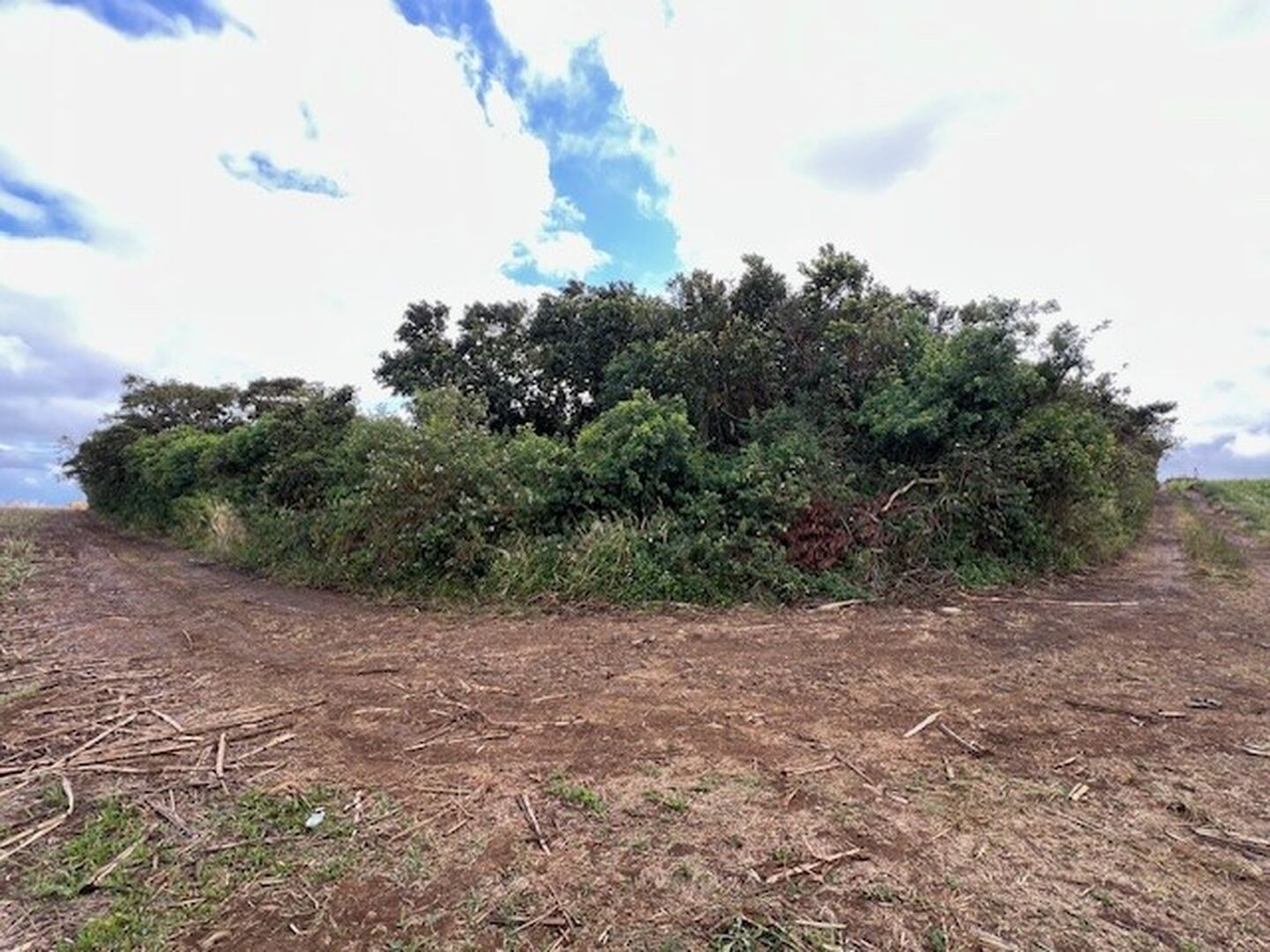 Terrain agricole de 4220 m2 en vente à Abercrombie, nord, île Maurice – LexpressProperty.com | 613537 | Ref01