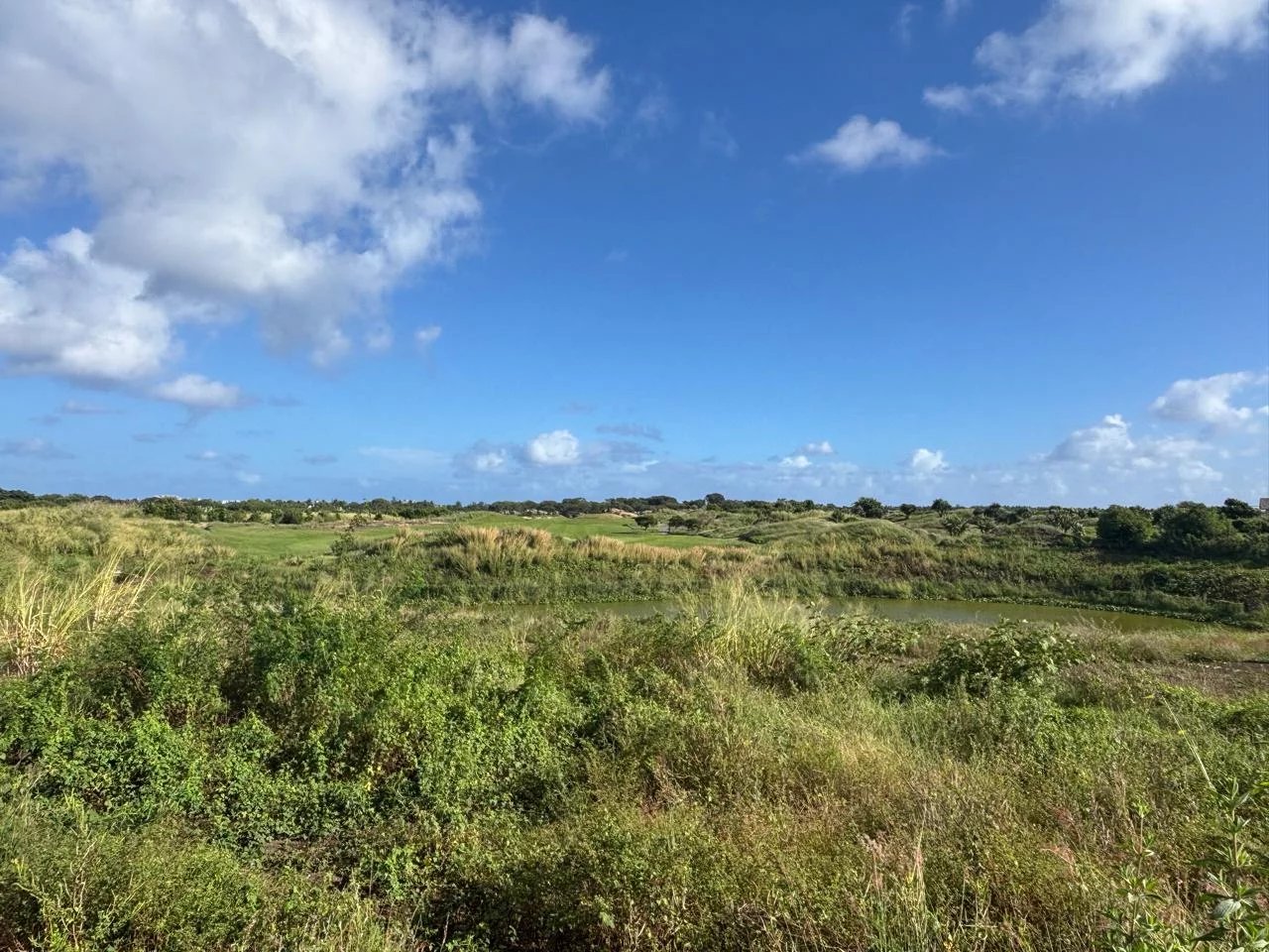 Residential land of 1050 m2 for sale in Mon Choisy, north, Mauritius – LexpressProperty.com | 710534 | Ref01