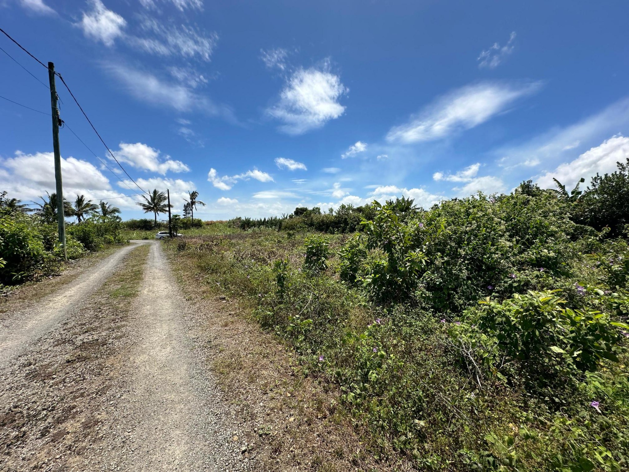 Residential land of 1118.53055 m² for sale in Mare d'Albert, south, Mauritius – LexpressProperty.com | 704263 | Ref01