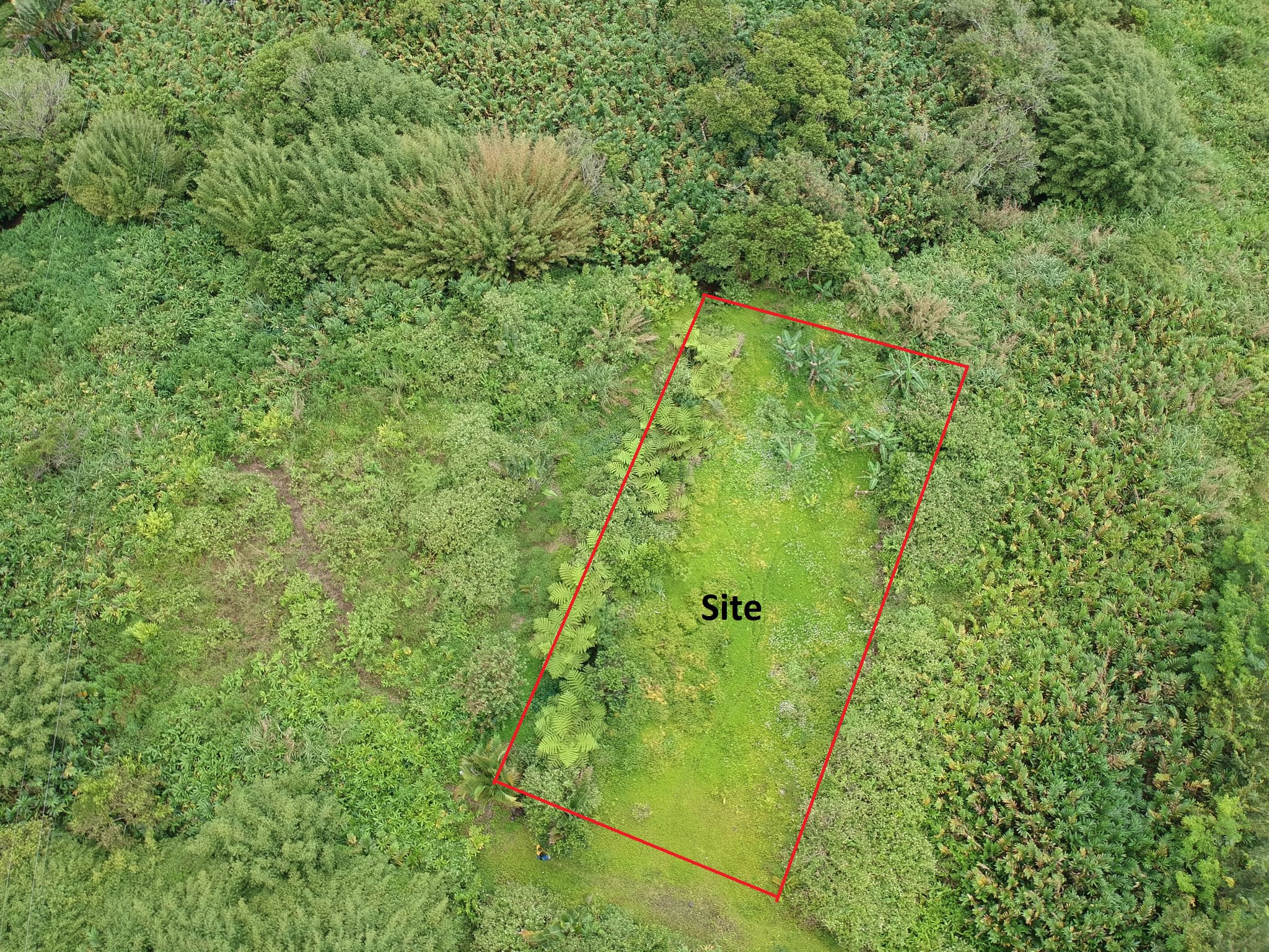 Property – LexpressProperty.com | 710710 | Ref01