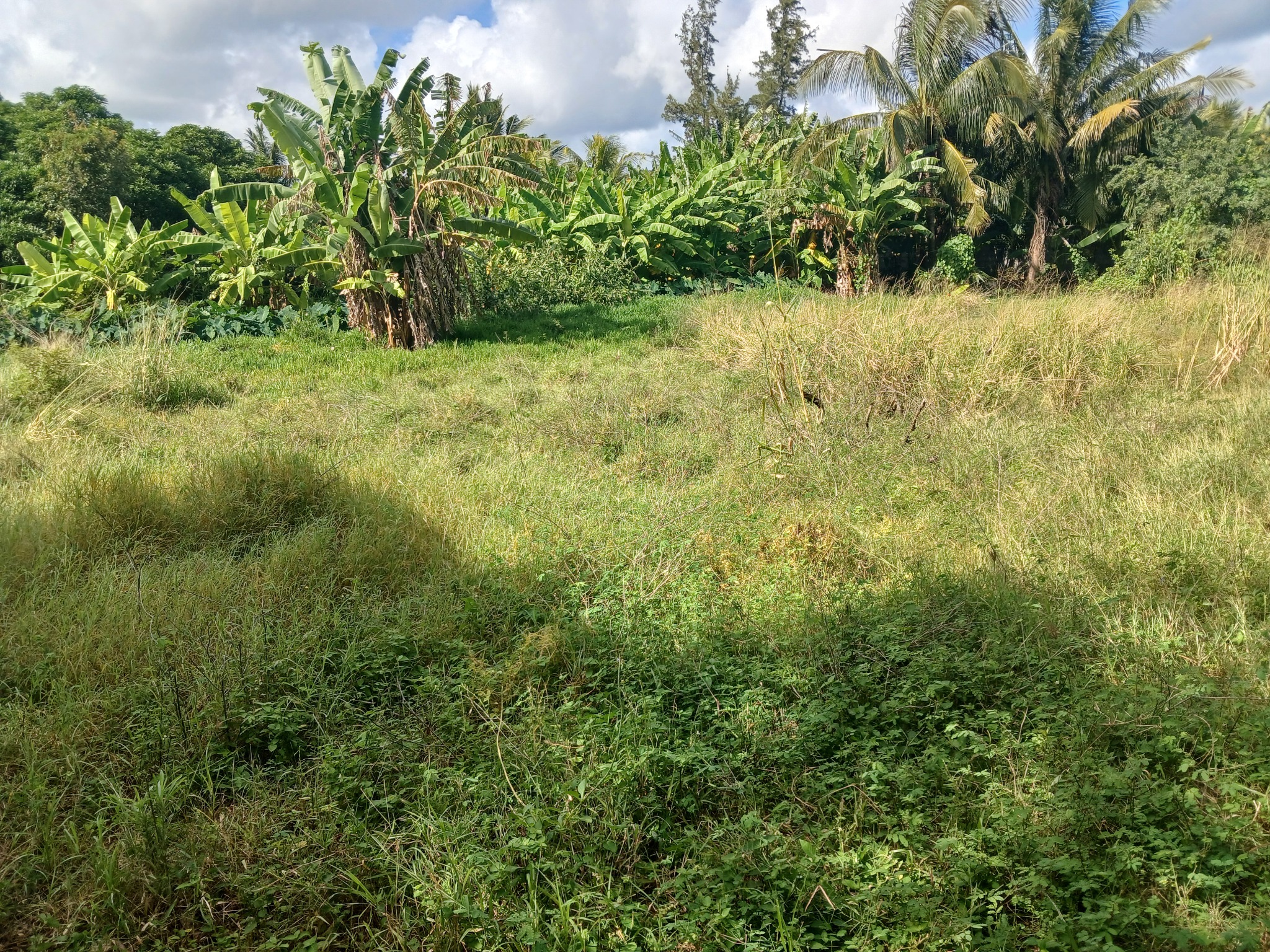 Residential land of 2100 m2 for sale in Calebasses, north, Mauritius – LexpressProperty.com | 710868 | Ref01