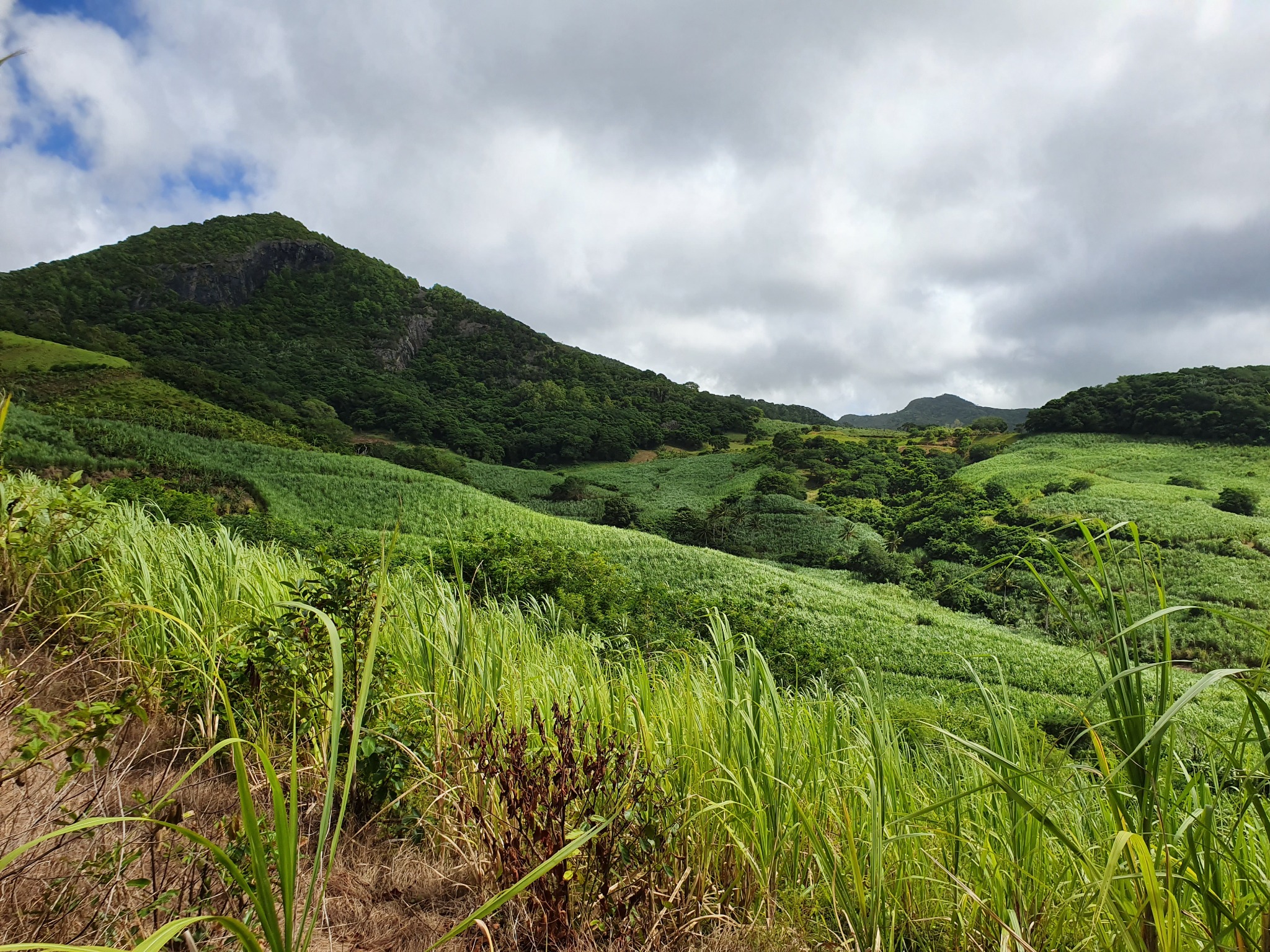 Agricultural land of 14984.0885 m² for sale in Anse Jonchée, south, Mauritius – LexpressProperty.com | 704353 | Ref01
