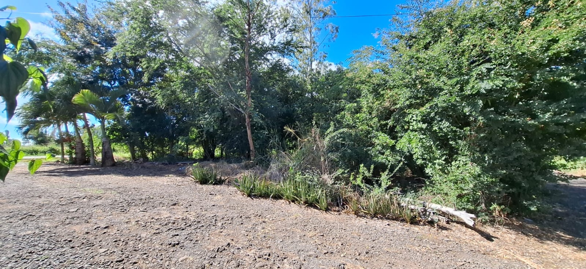Residential land of 642.42 m2 for sale in Le Goulet, north, Mauritius – LexpressProperty.com | 719993 | Ref01