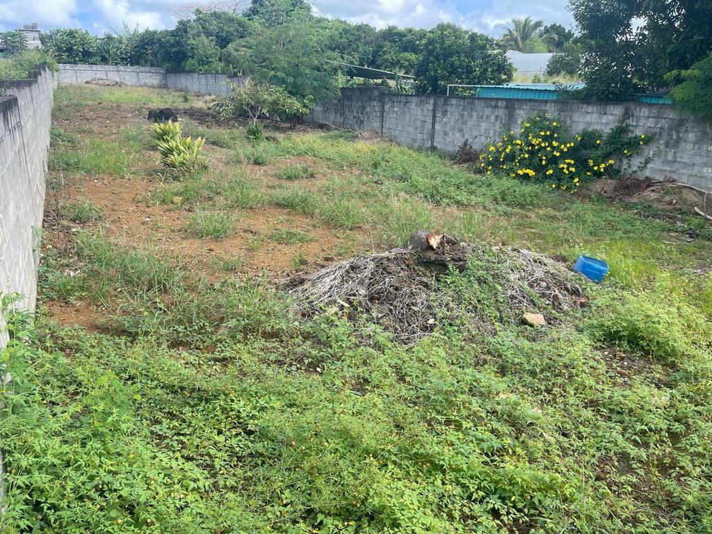 Terrain résidentiel de 1055.2175 m² en vente à Plaine Magnien, sud, île Maurice – LexpressProperty.com | 720703 | Ref01
