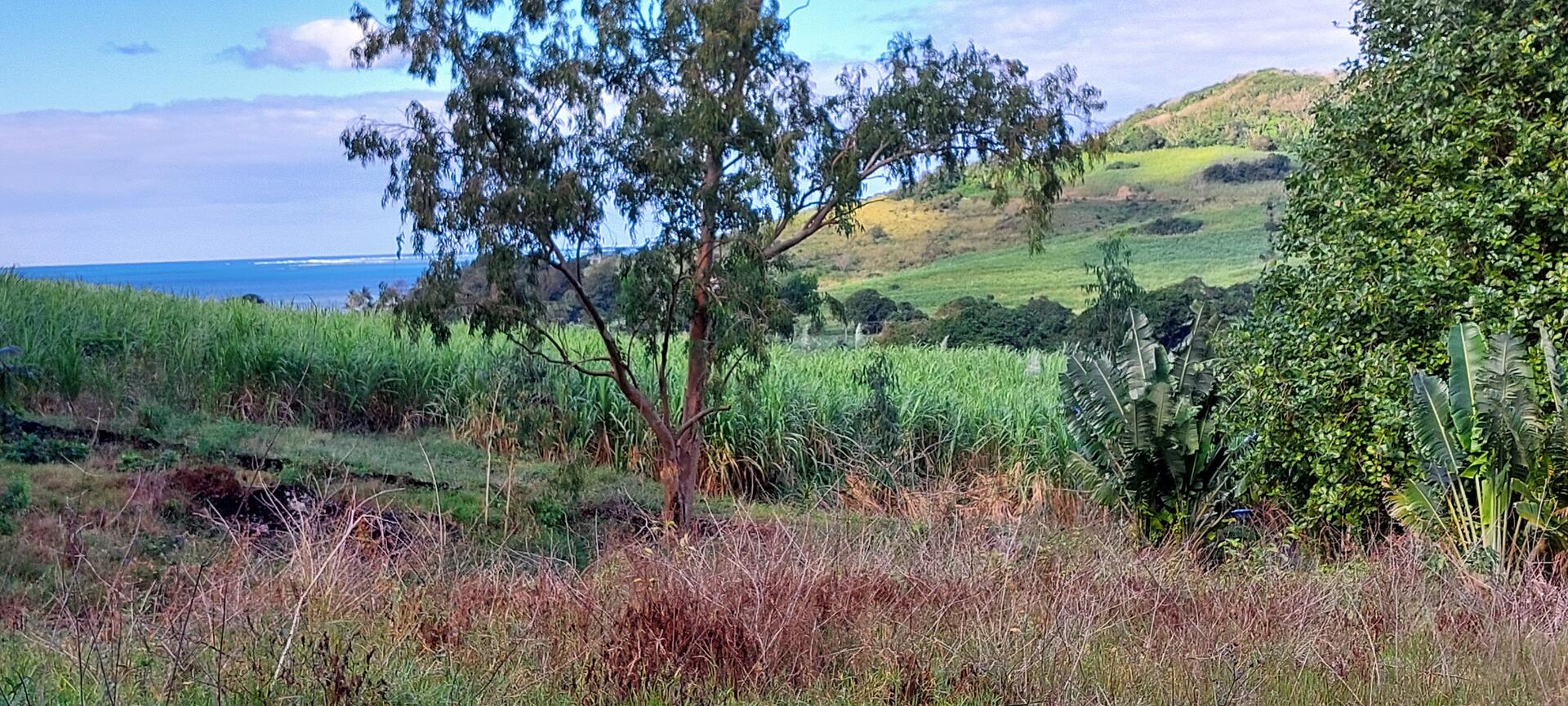 Agricultural land of 8576 m2 for sale in Anse Jonchée, south, Mauritius – LexpressProperty.com | 700725 | Ref01