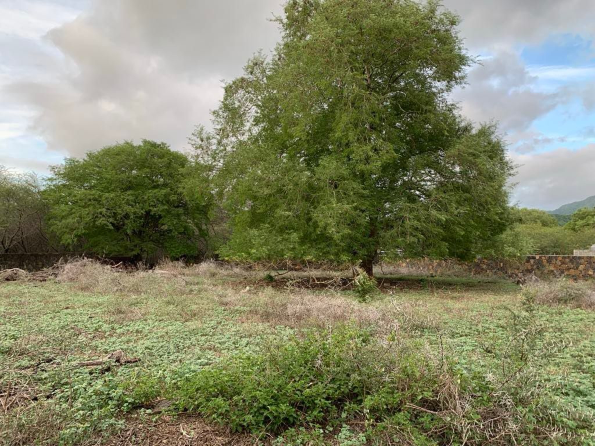 Property – LexpressProperty.com | 716697 | Ref01