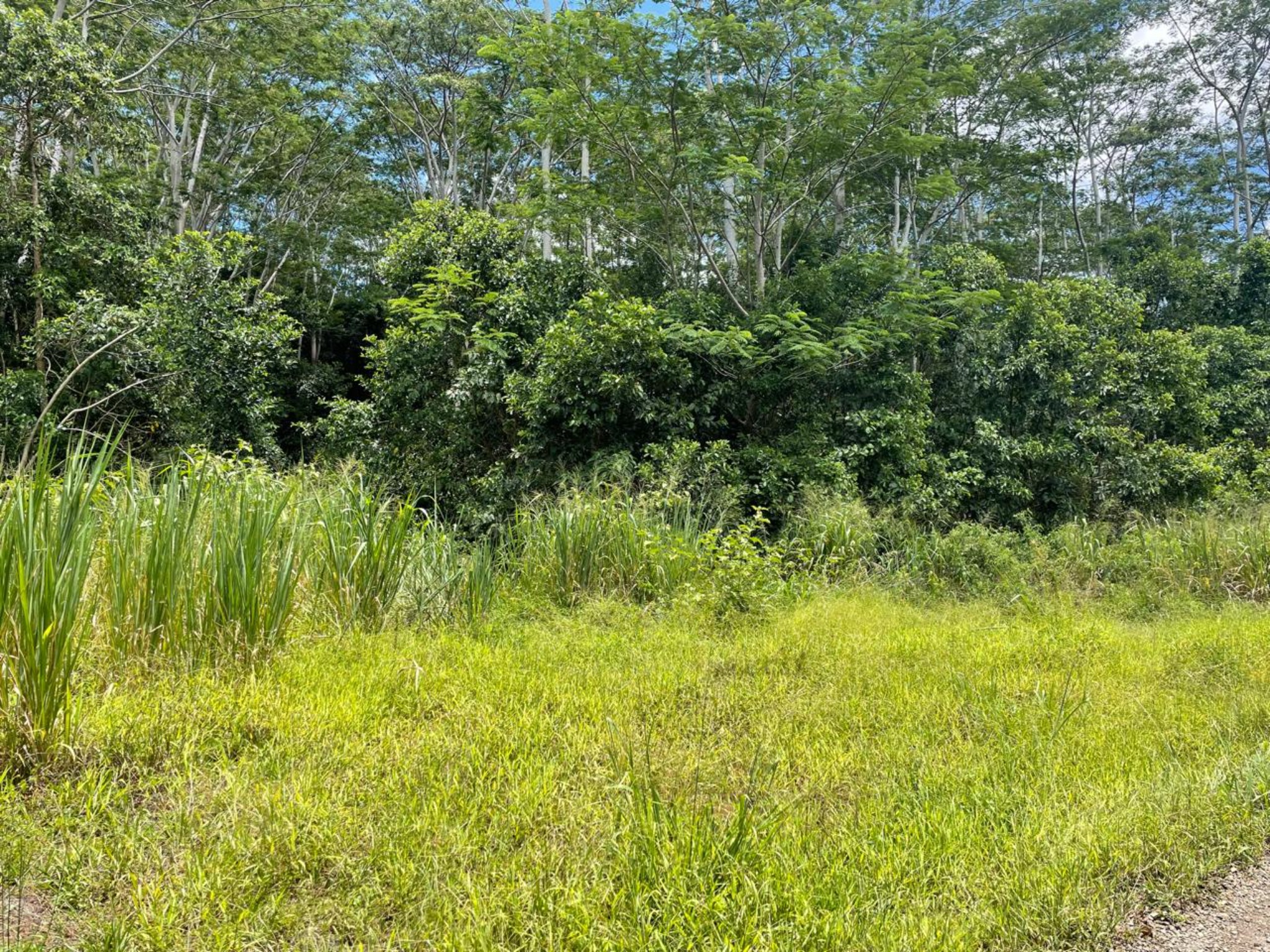 Property – LexpressProperty.com | 721522 | Ref01