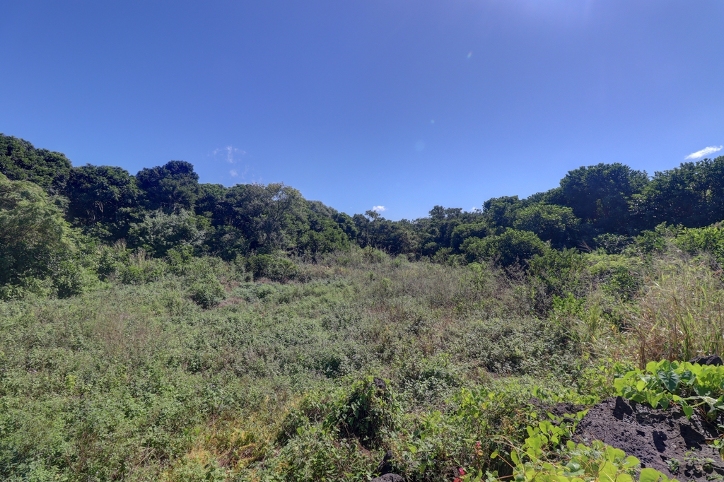 Agricultural land of 2194.8524 m² for sale in Nouvelle Découverte, center, Mauritius – LexpressProperty.com | 326622 | Ref01