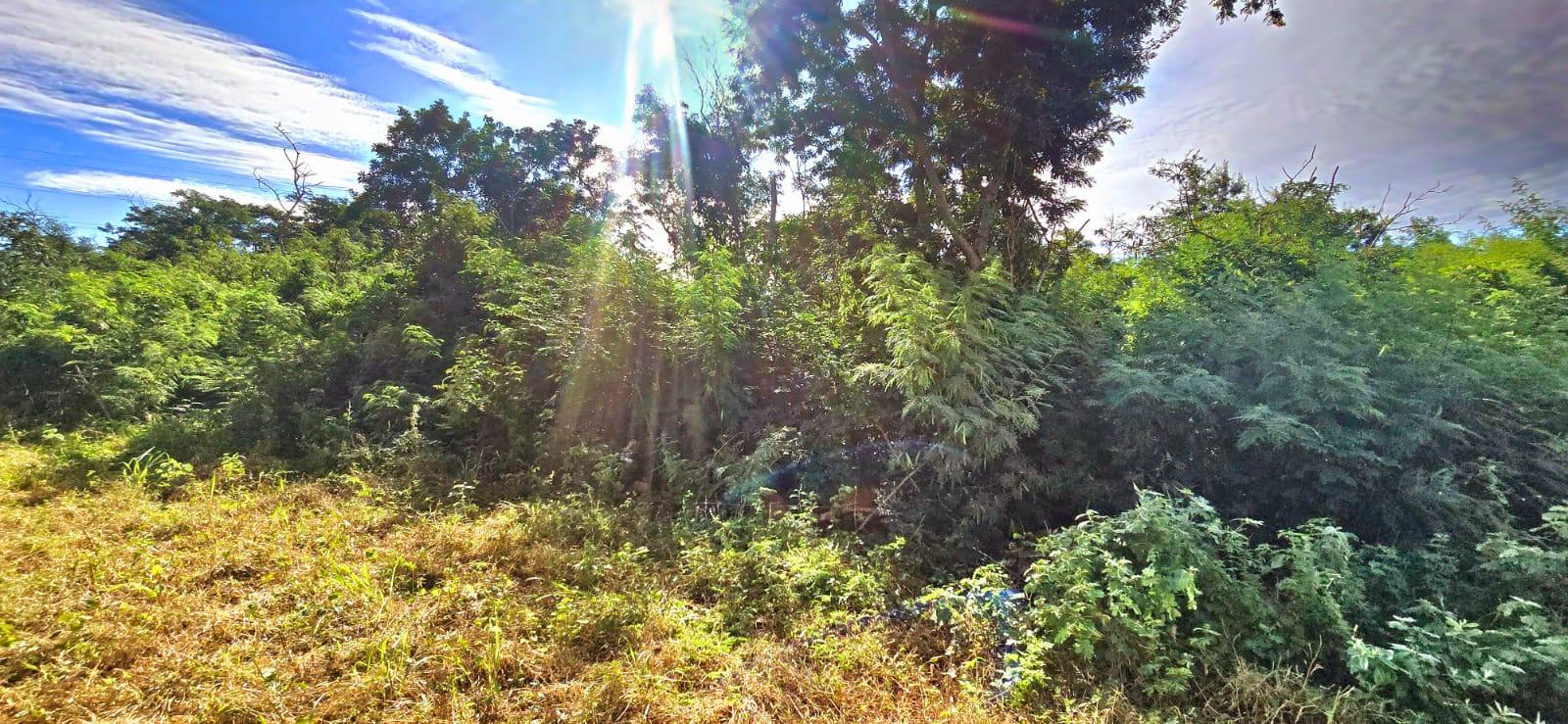 Commercial land of 6109 m2 for sale in Pailles, center, Mauritius – LexpressProperty.com | 721372 | Ref01