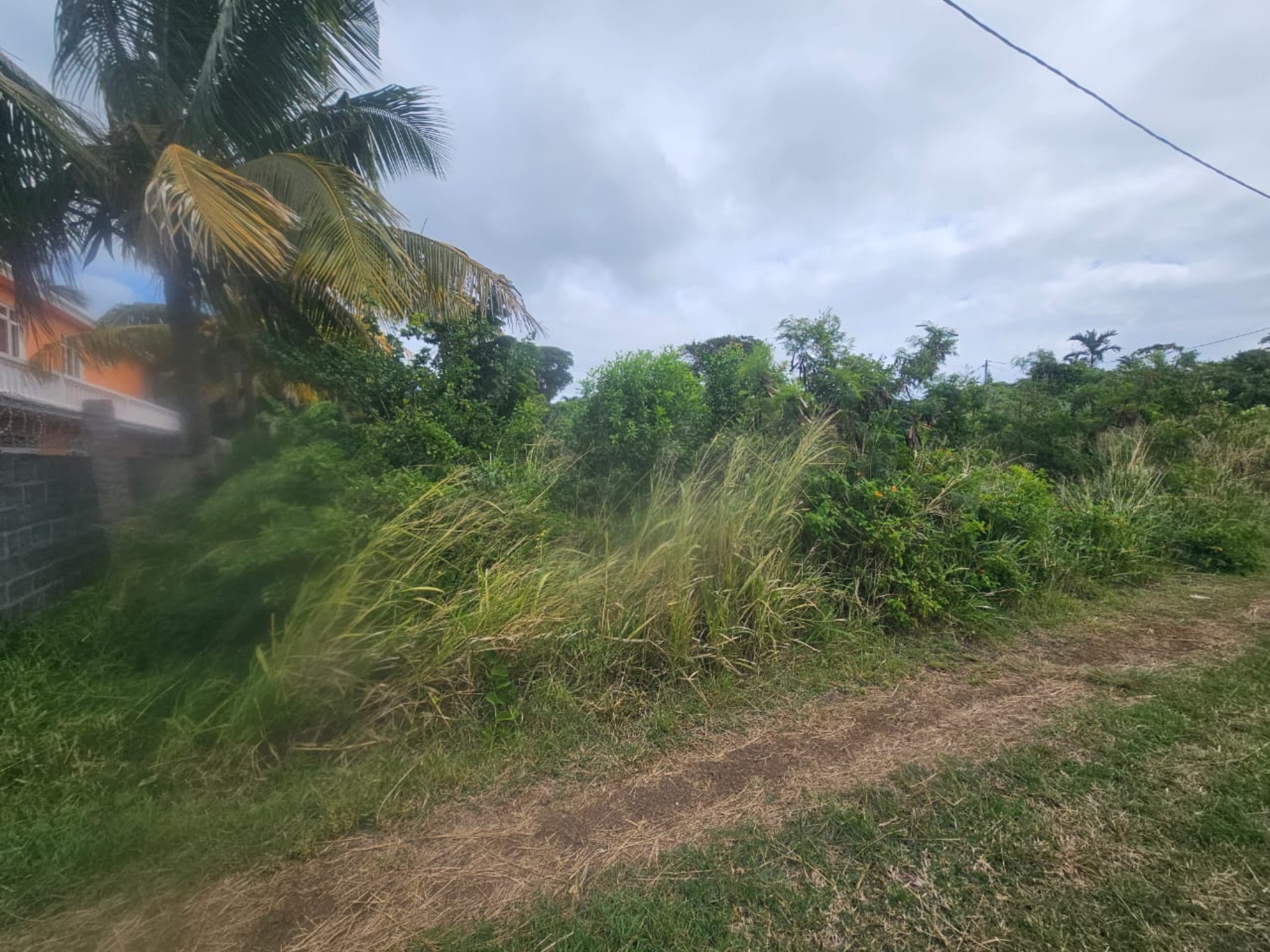 Property – LexpressProperty.com | 722292 | Ref01