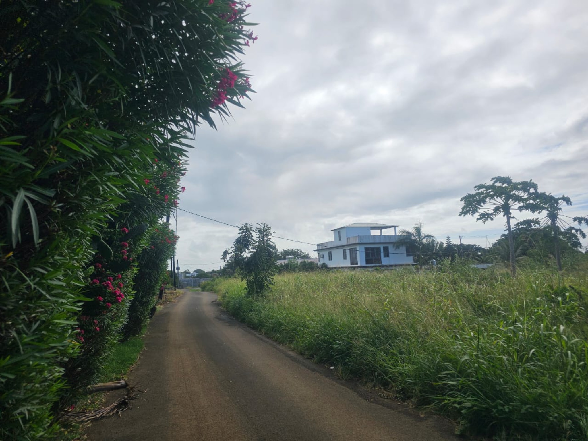 Property – LexpressProperty.com | 722289 | Ref01