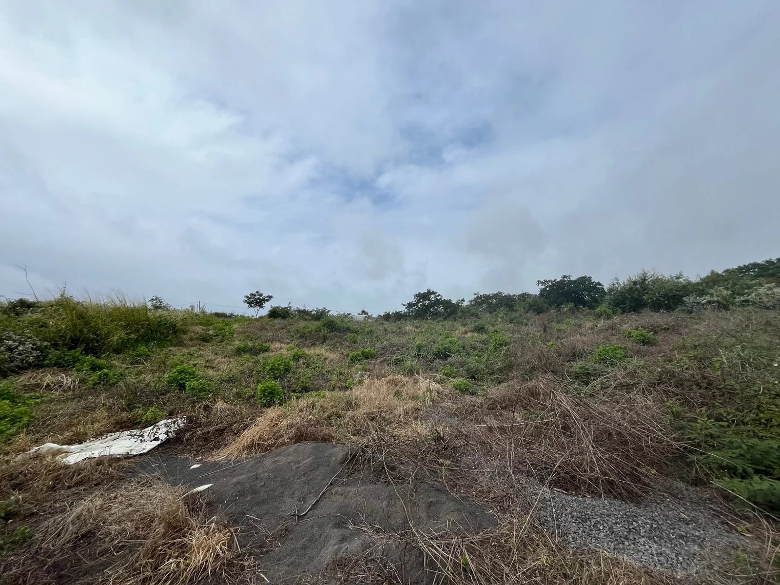 Residential land of 1181 m2 for sale in Péreybère, north, Mauritius – LexpressProperty.com | 722449 | Ref01