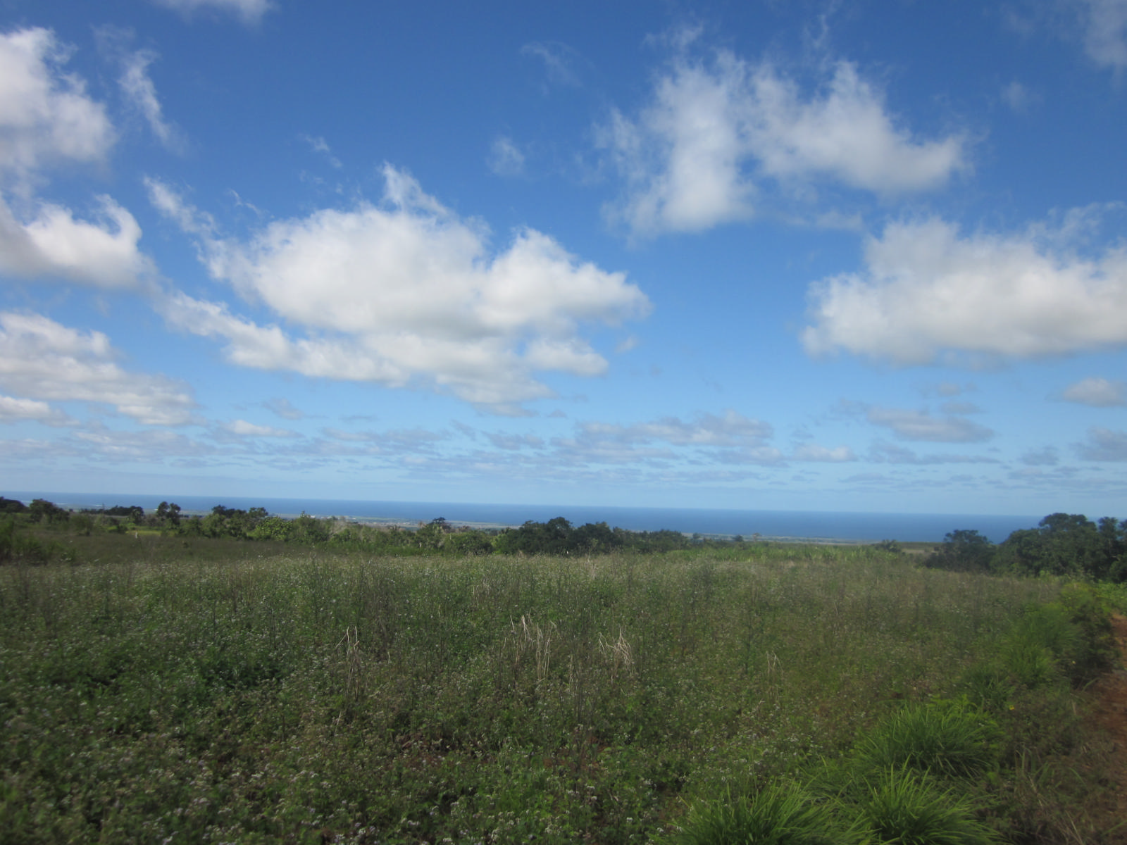 Terrain résidentiel de 1856 m2 en vente à Bois Chéri, sud, île Maurice – LexpressProperty.com | 722914 | Ref01