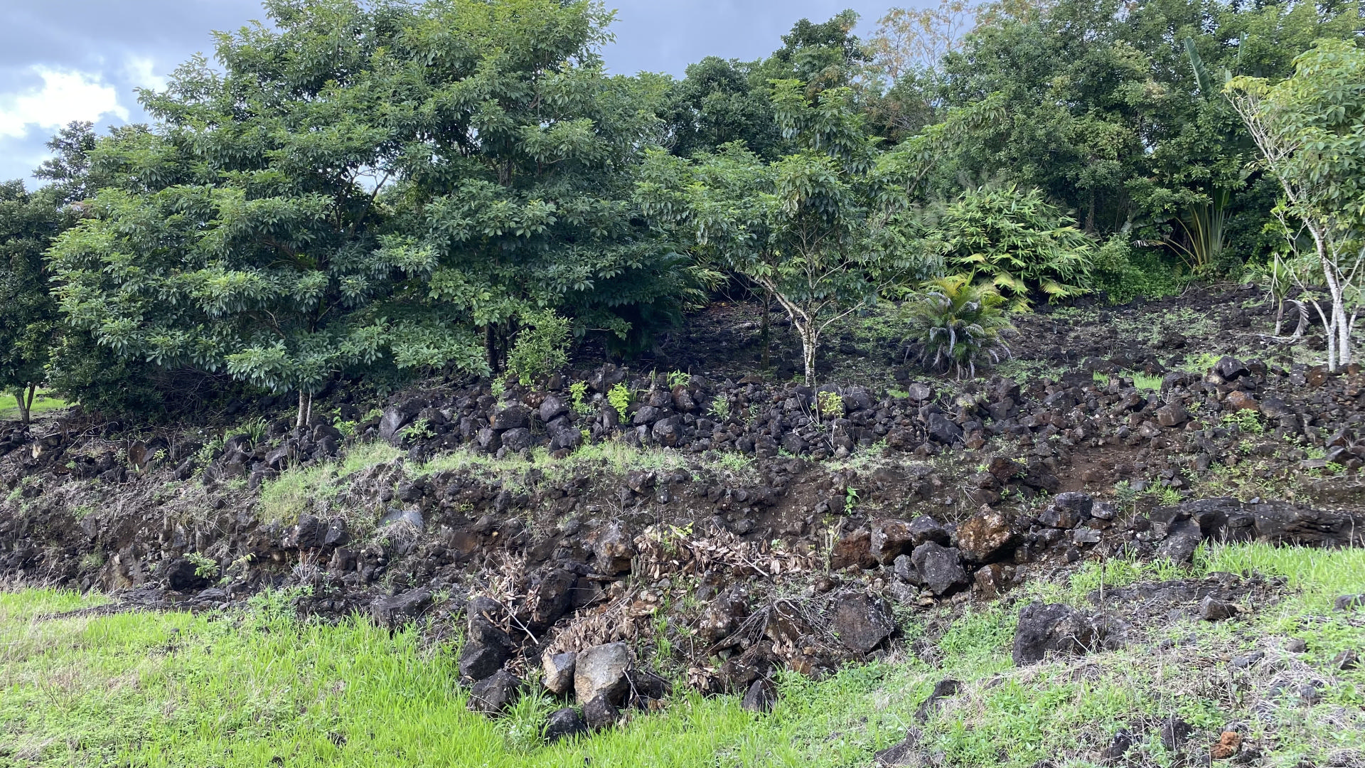 Agricultural land of 21737 m2 for sale in Lallmatie, east, Mauritius – LexpressProperty.com | 717719 | Ref01