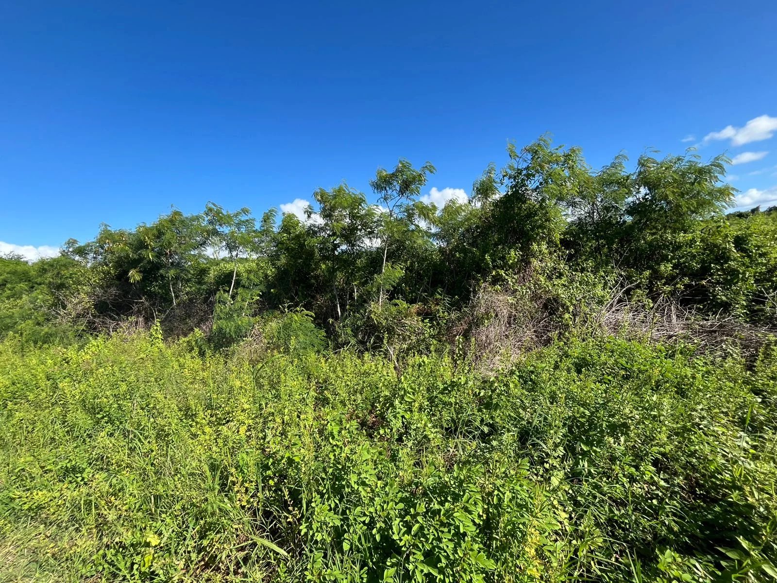Residential land of 5780 m2 for sale in St Antoine, north, Mauritius – LexpressProperty.com | 717706 | Ref01