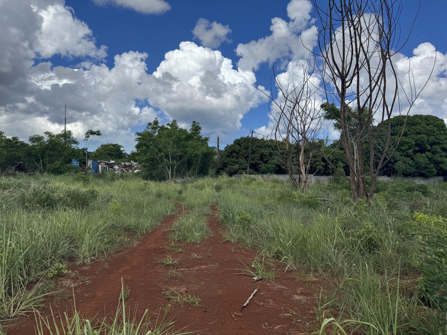 Terrain agricole de 2410 m2 en vente à Khoyratty, nord, île Maurice – LexpressProperty.com | 718069 | Ref01