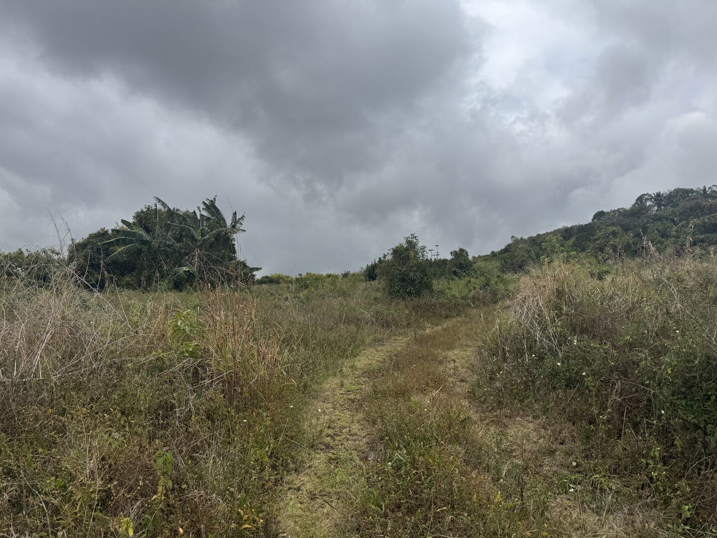 Property – LexpressProperty.com | 718074 | Ref01
