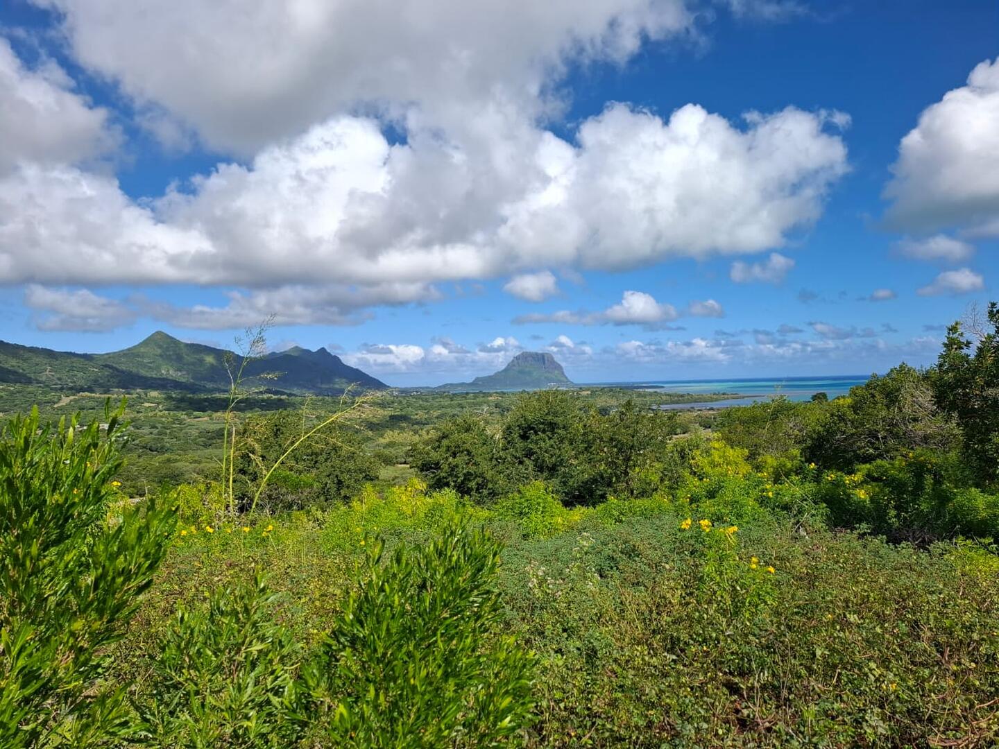 Property – LexpressProperty.com | 724537 | Ref01