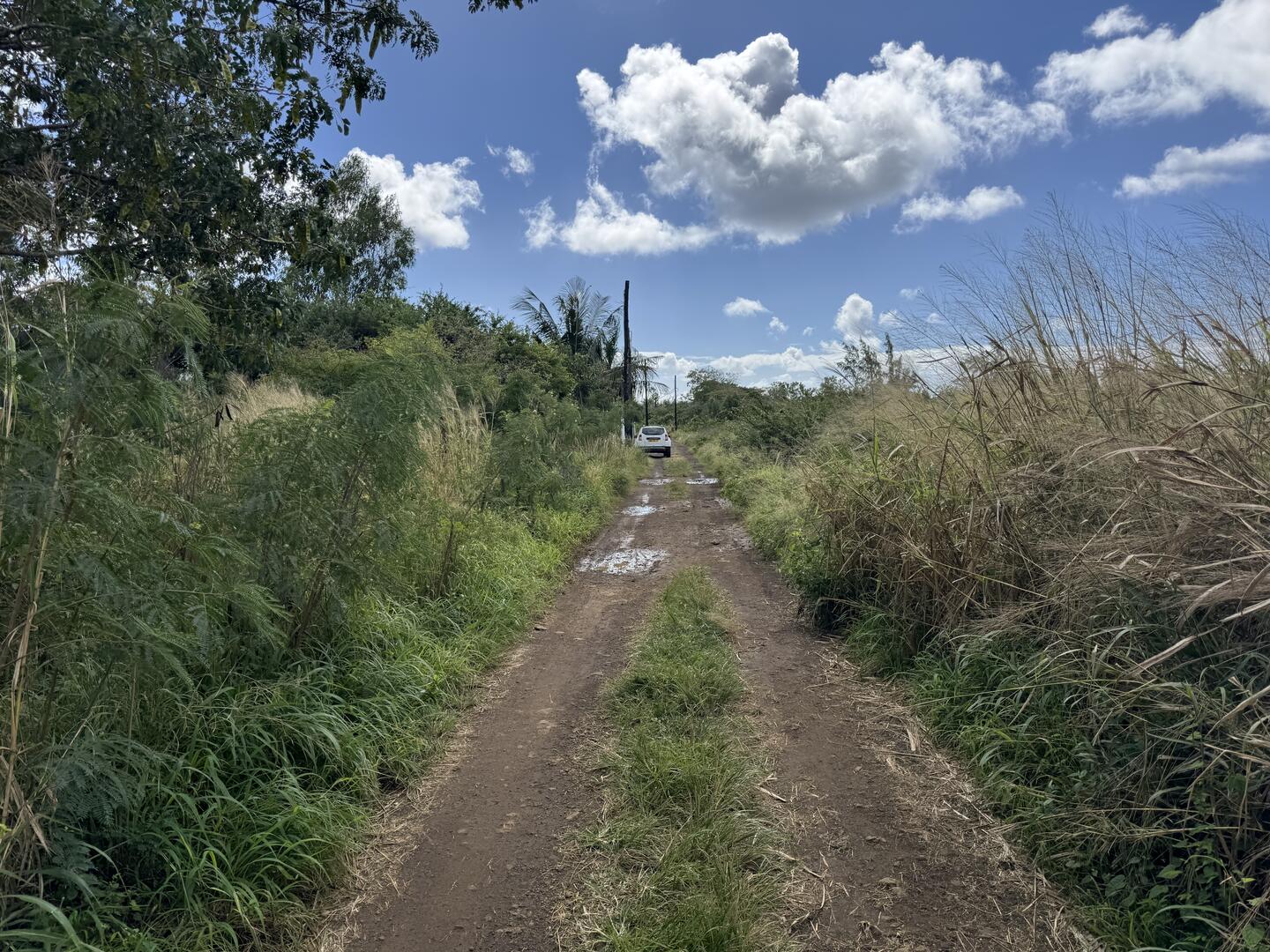 Property – LexpressProperty.com | 728633 | Ref01