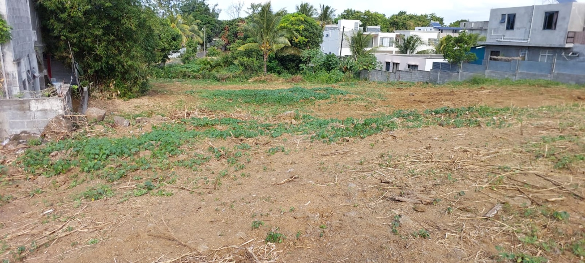 Property – LexpressProperty.com | 728850 | Ref01