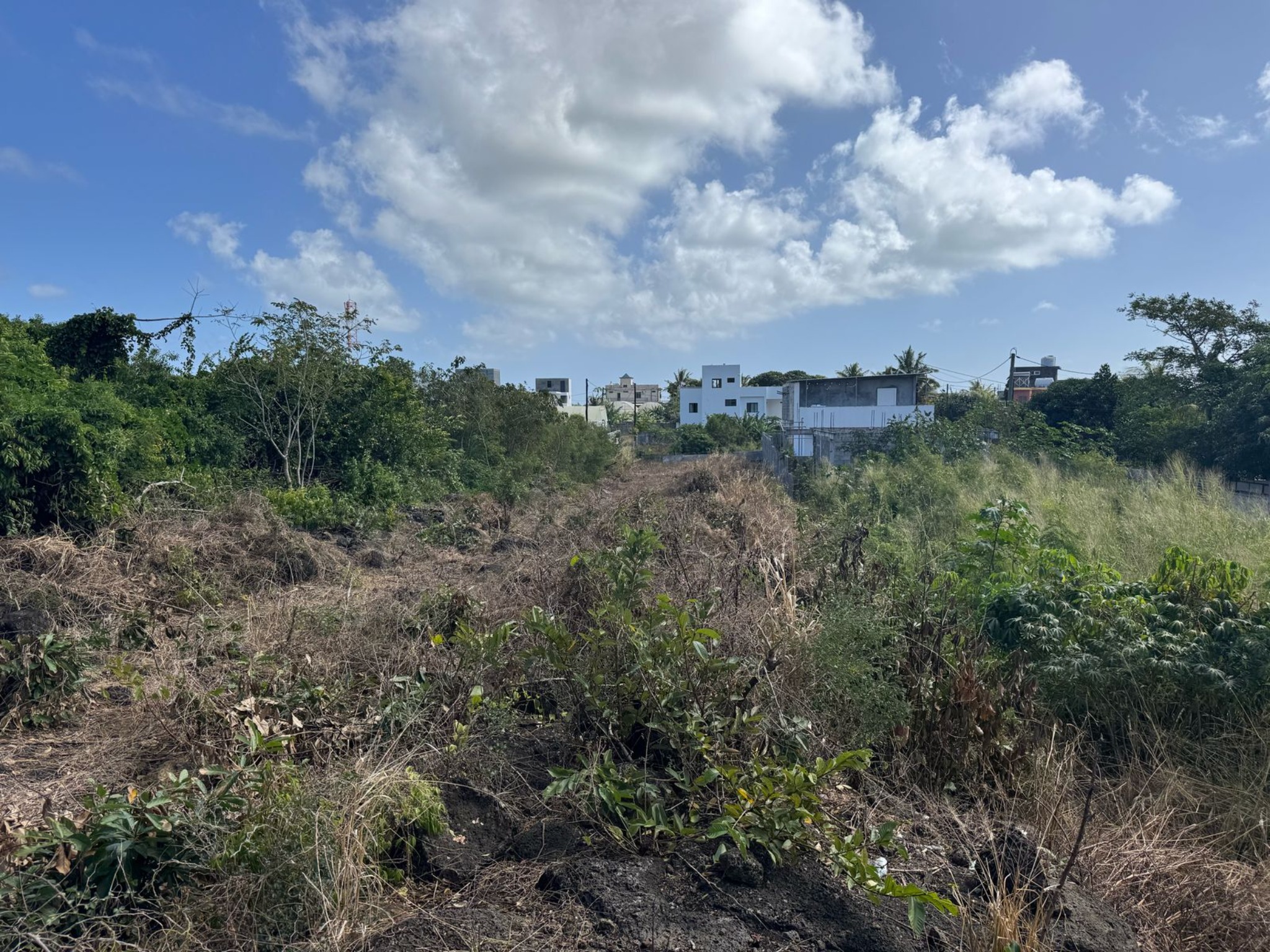 Property – LexpressProperty.com | 730409 | Ref01