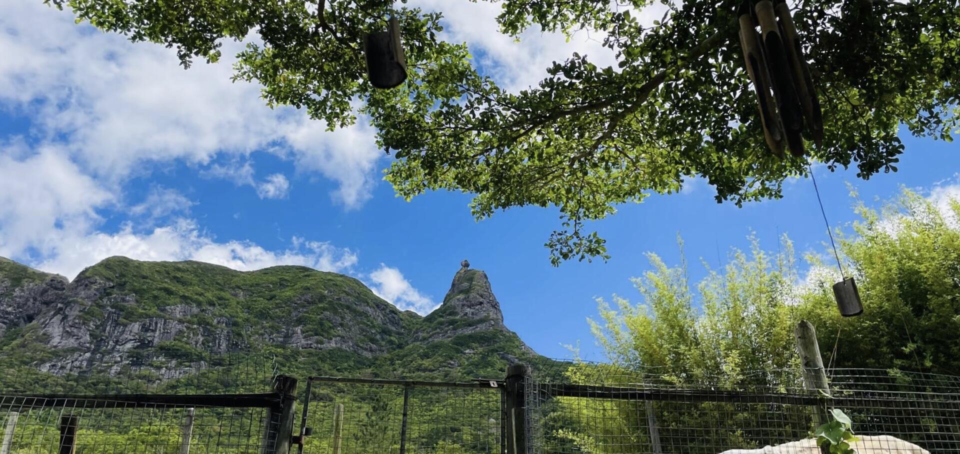 Terrain agricole de 3165 m2 en vente à La Laura, centre, île Maurice – LexpressProperty.com | 733652 | Ref01