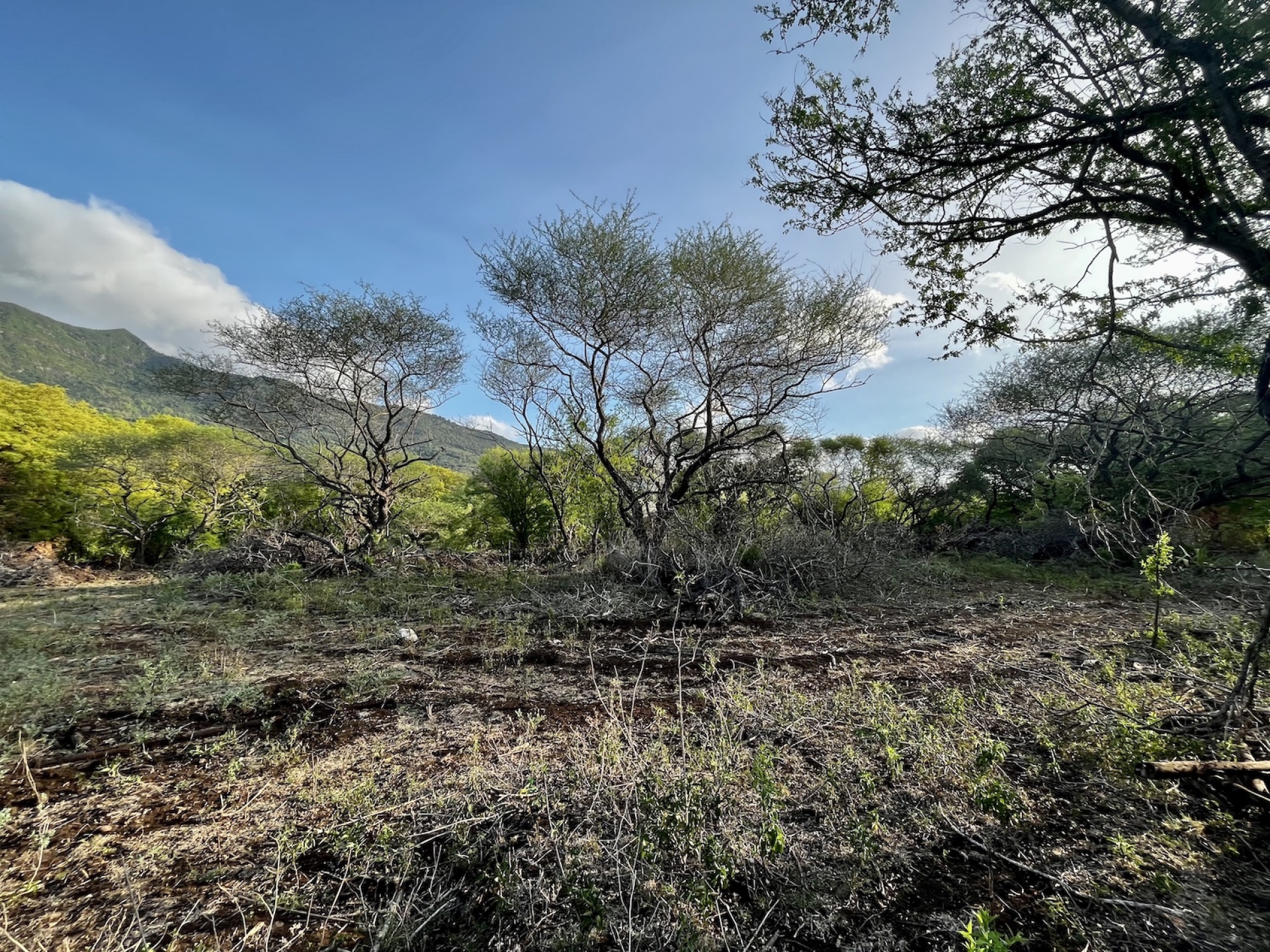 Property – LexpressProperty.com | 733858 | Ref01