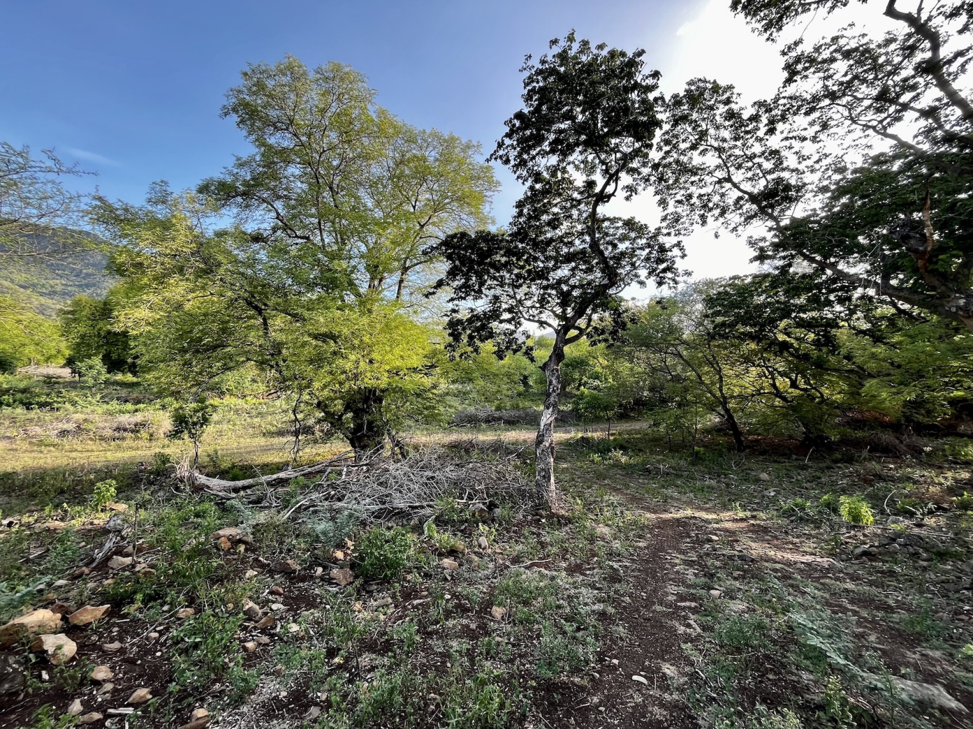 Property – LexpressProperty.com | 733862 | Ref01